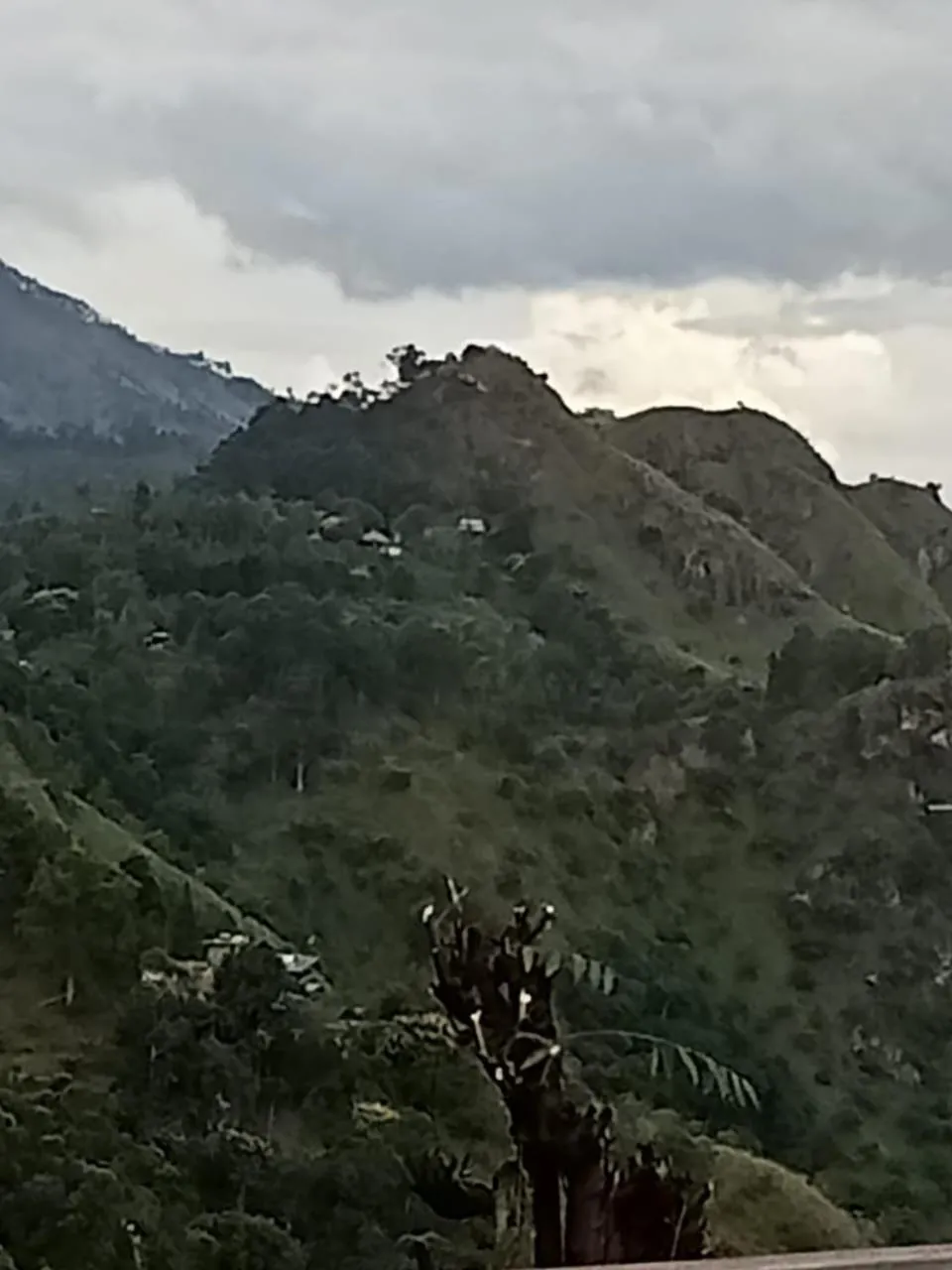 Maple home stay and cottage