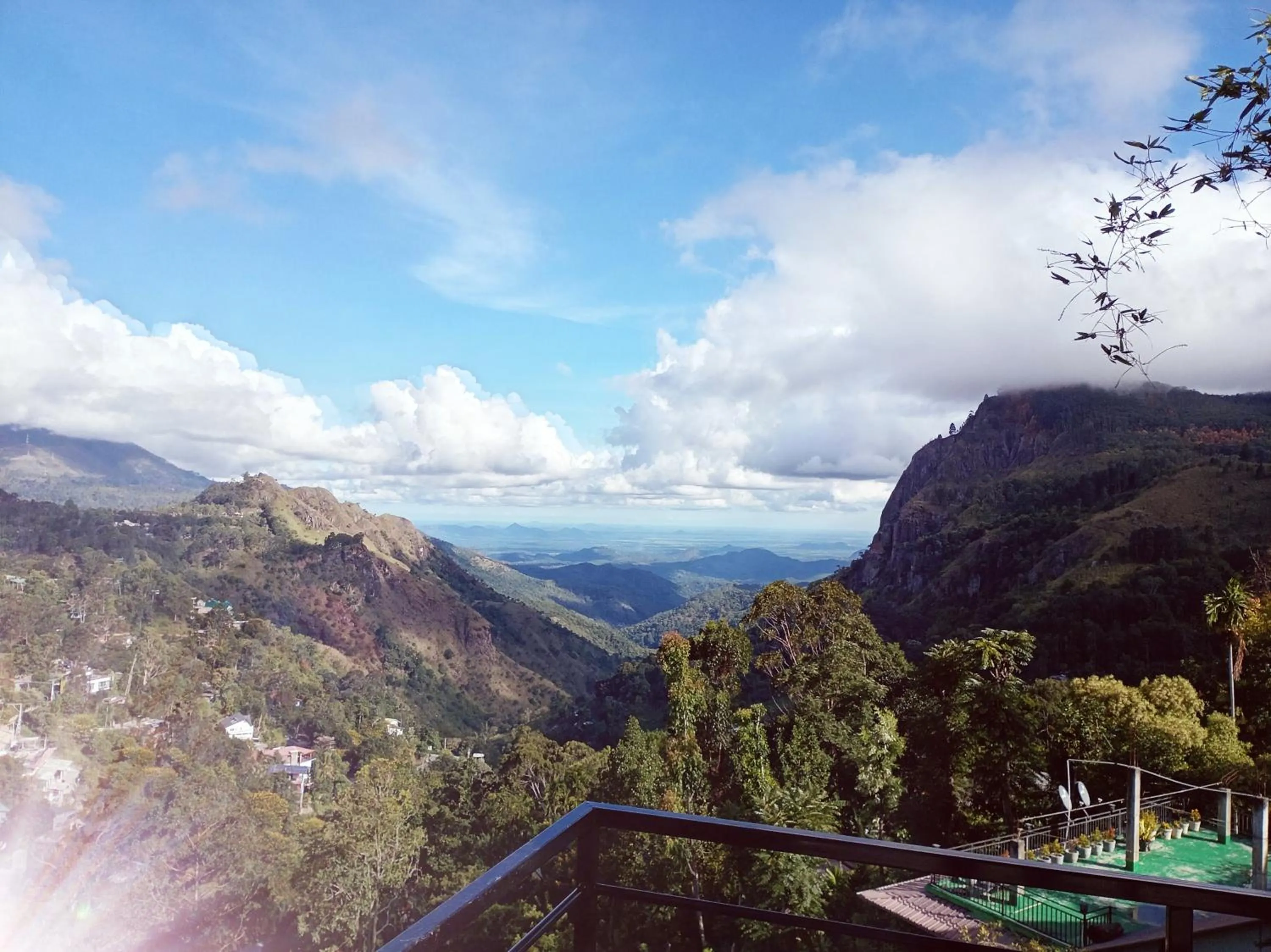 Maple home stay and cottage