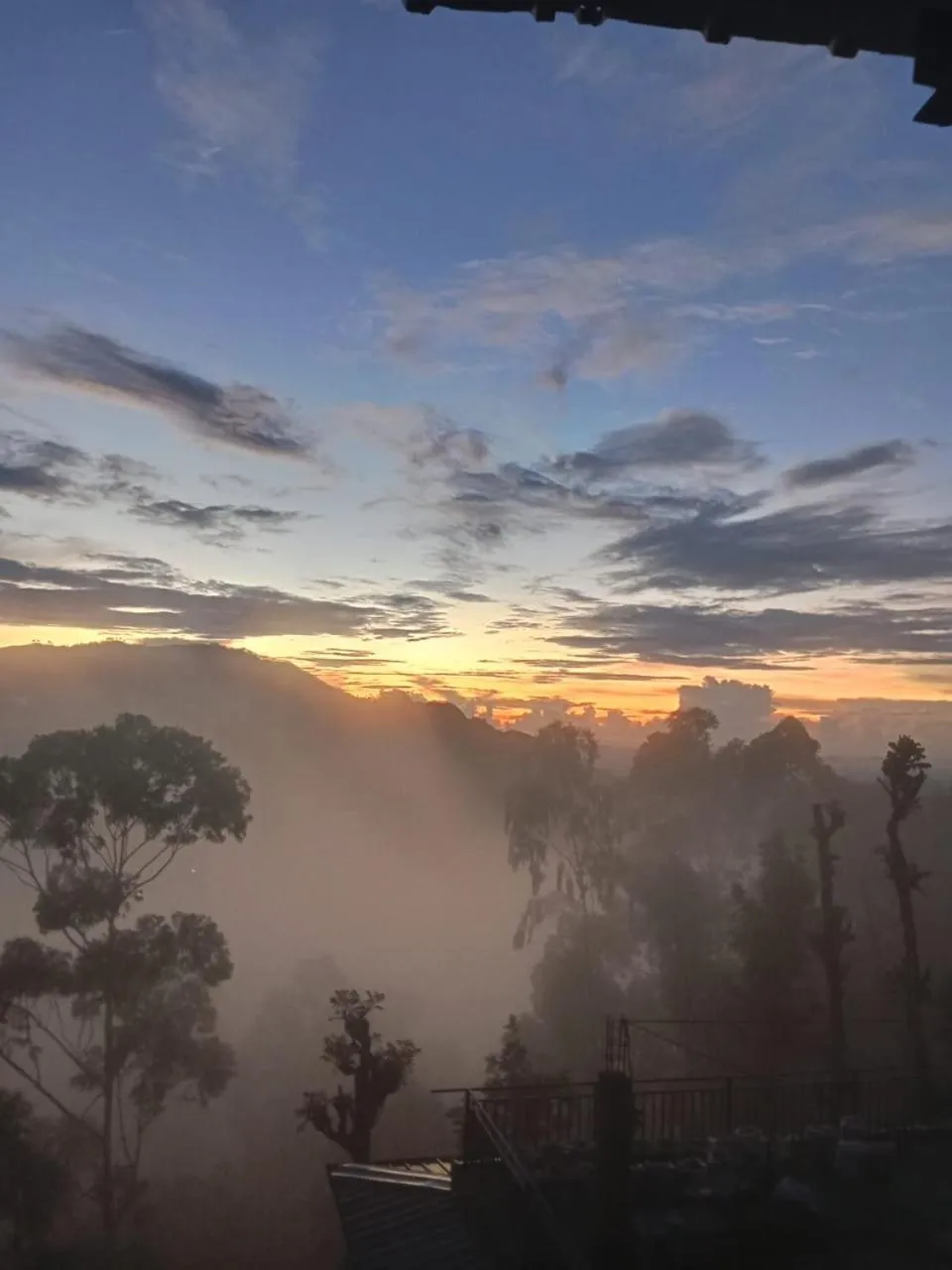 Maple home stay and cottage