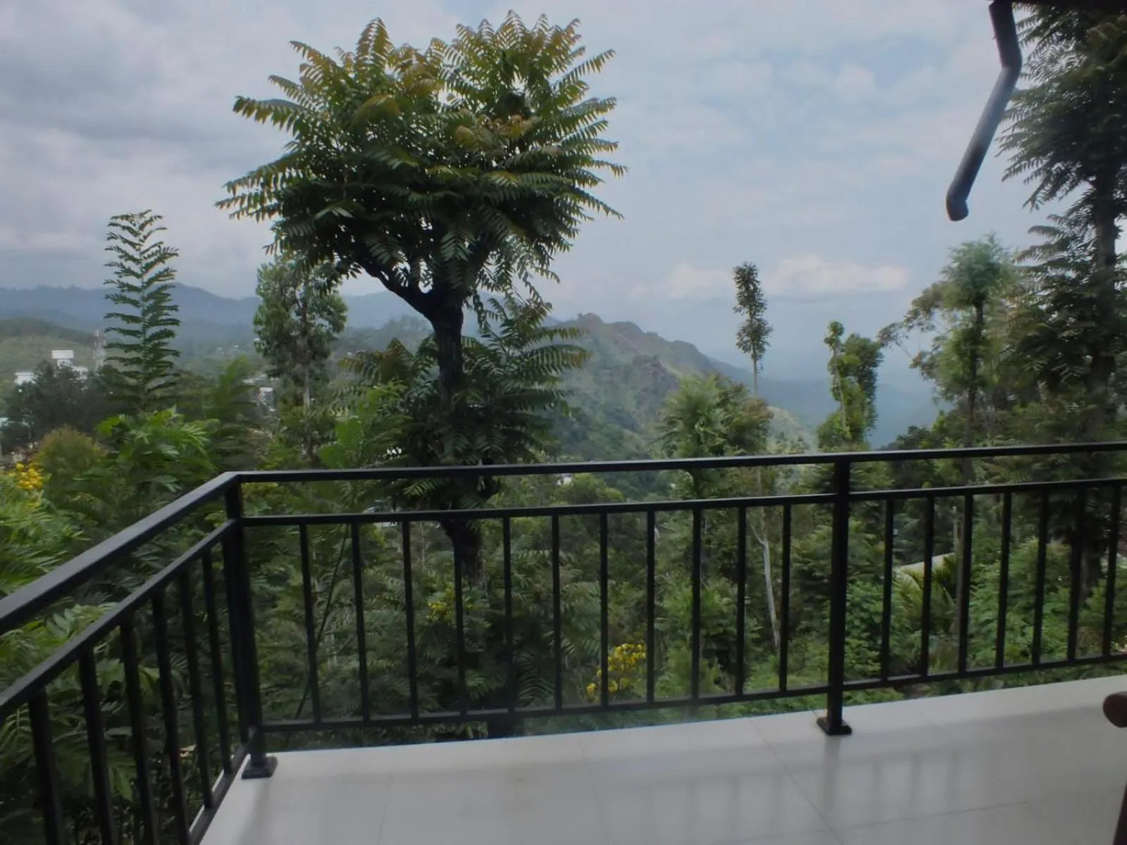 Maple home stay and cottage