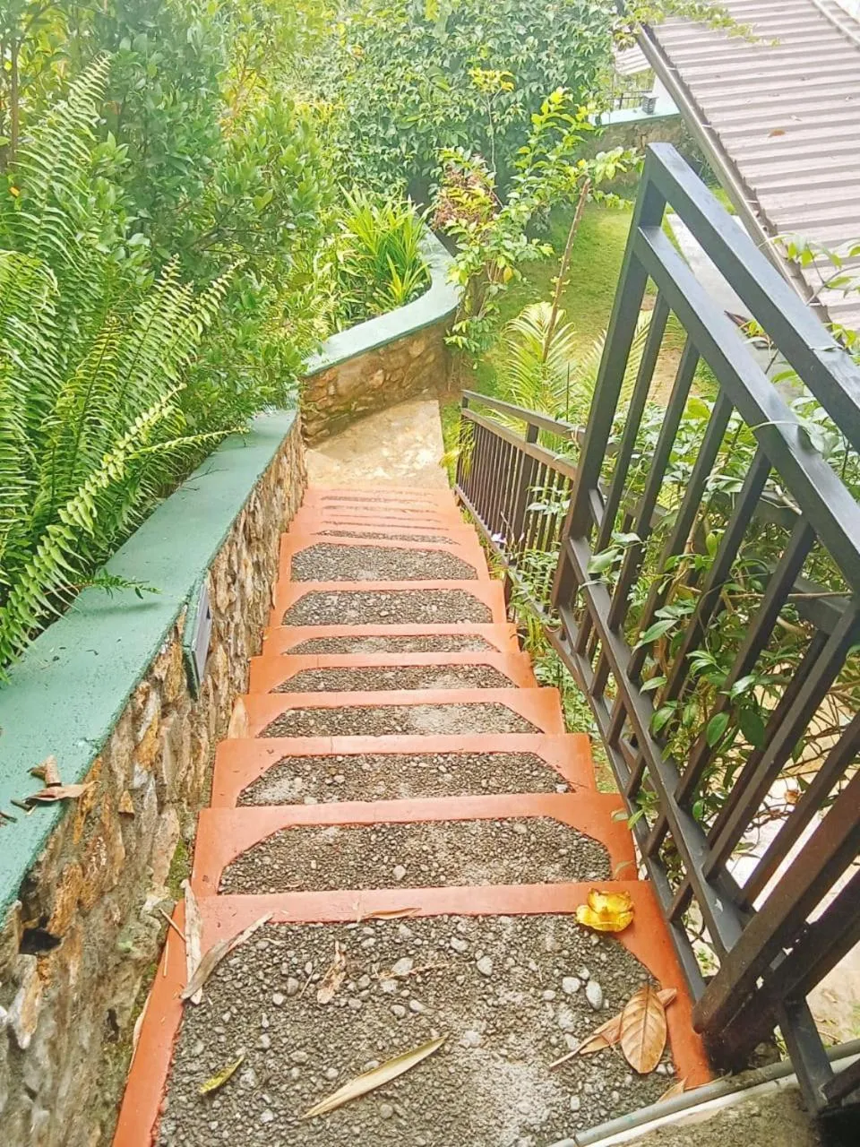 Maple home stay and cottage