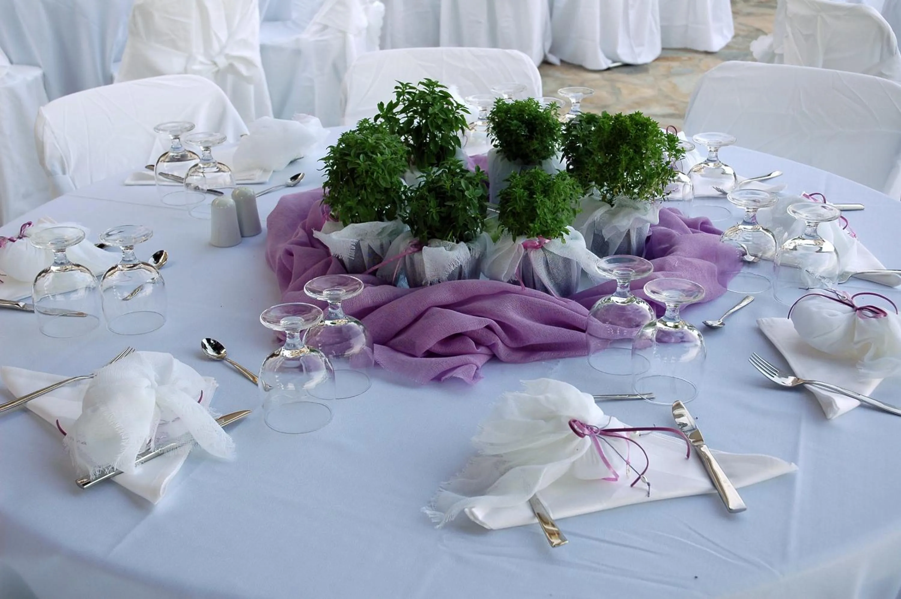 Food close-up in Golden View