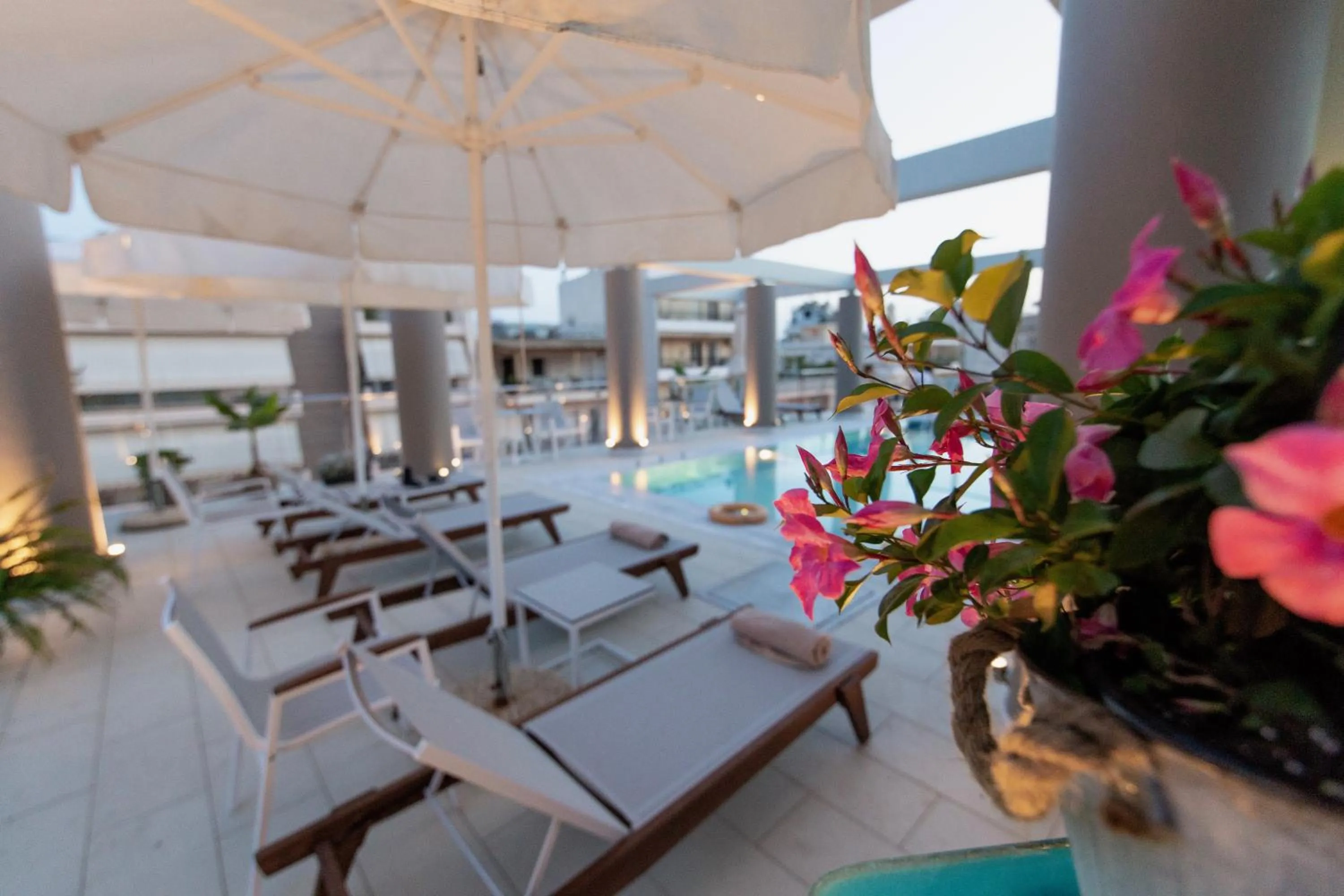 Pool view in Comfy Boutique Hotel