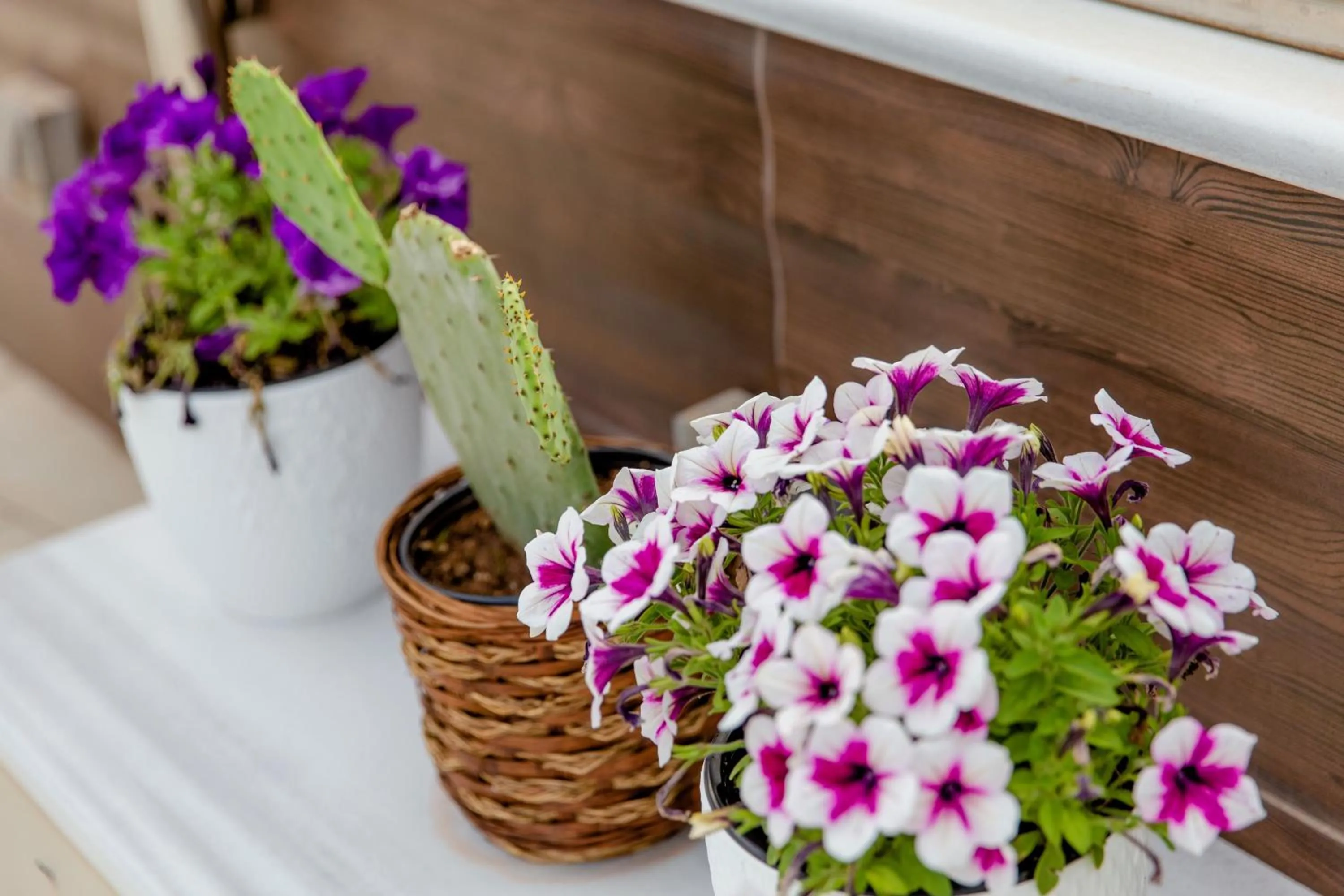Decorative detail in Comfy Boutique Hotel
