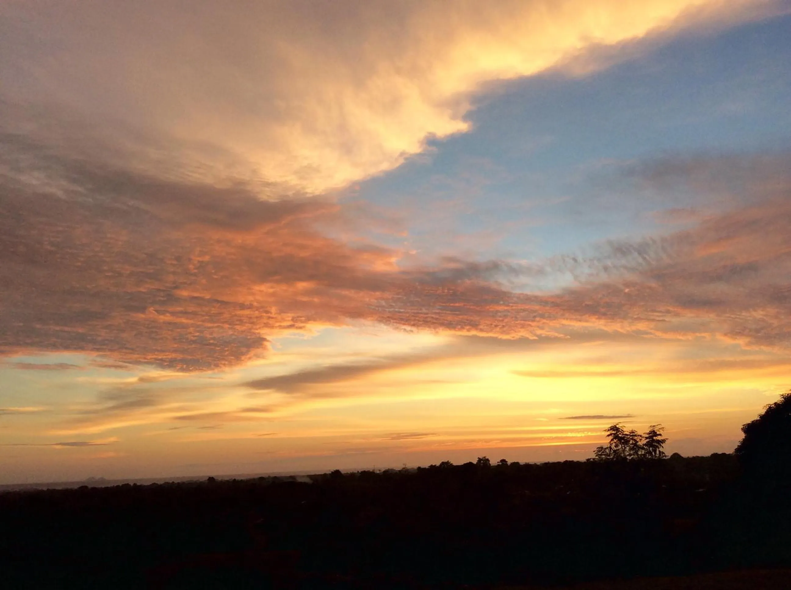 Other in Ravenala Beach Bungalows