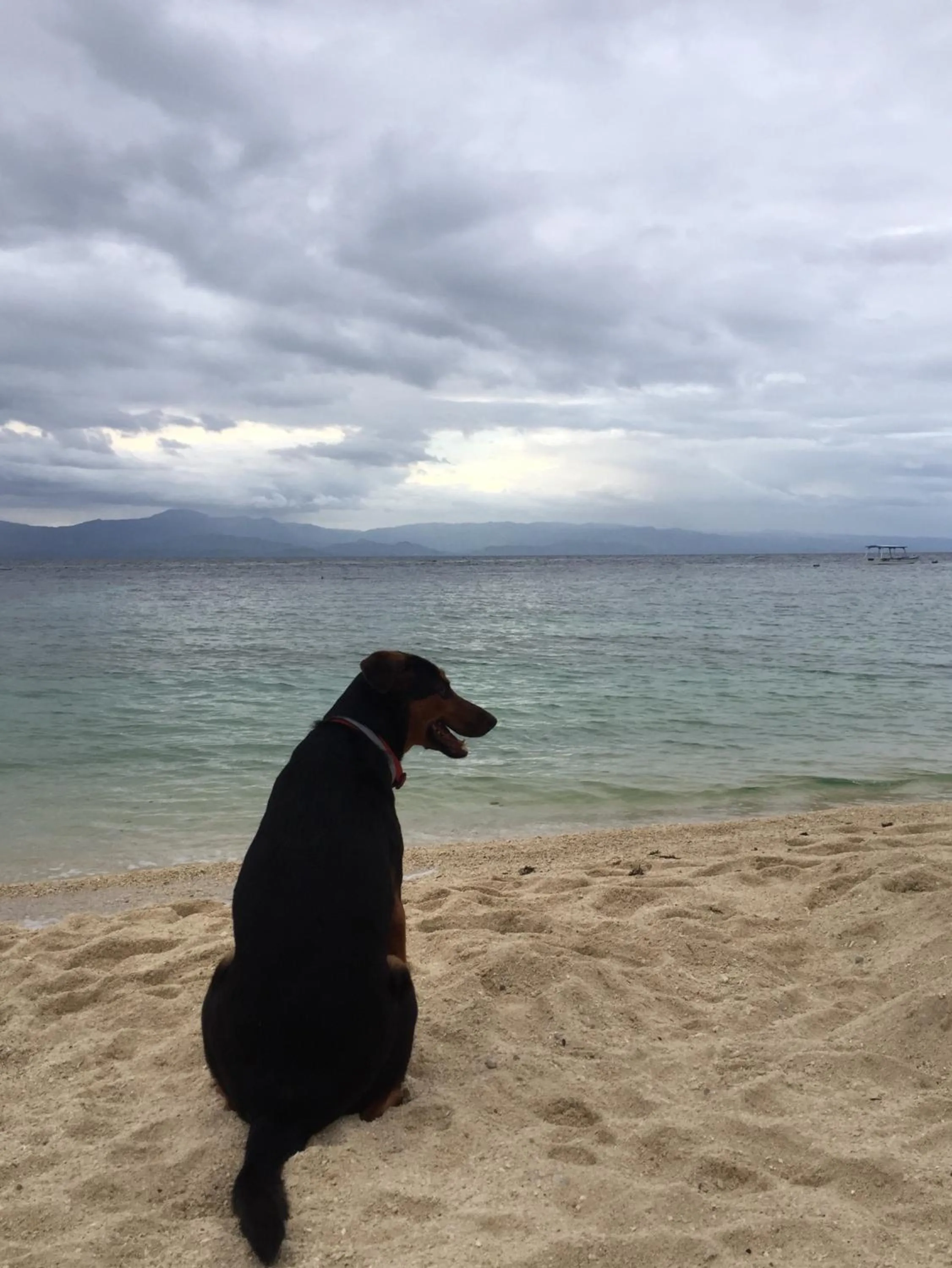 Ravenala Beach Bungalows