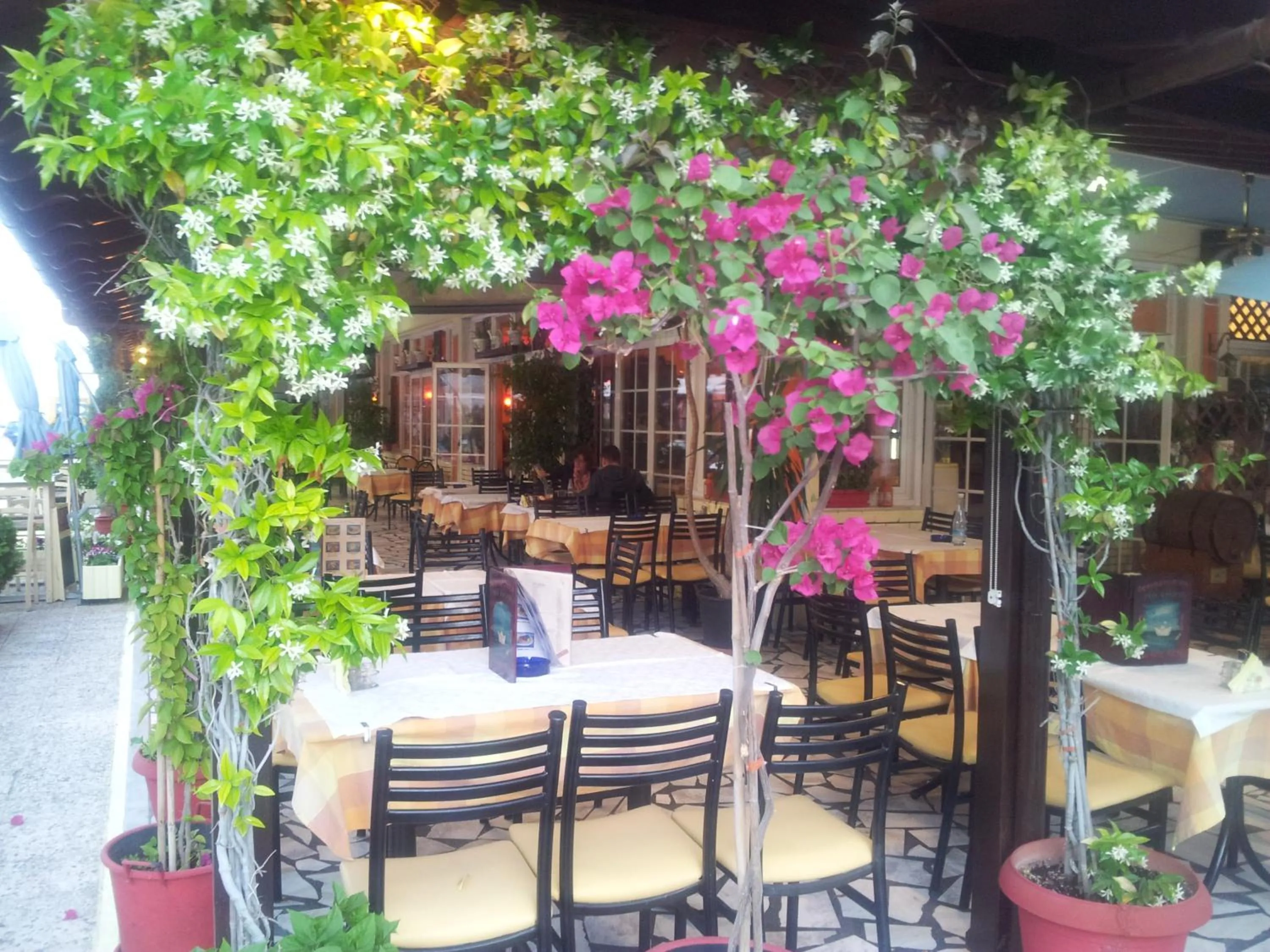 Patio in Hotel White Rose Beach