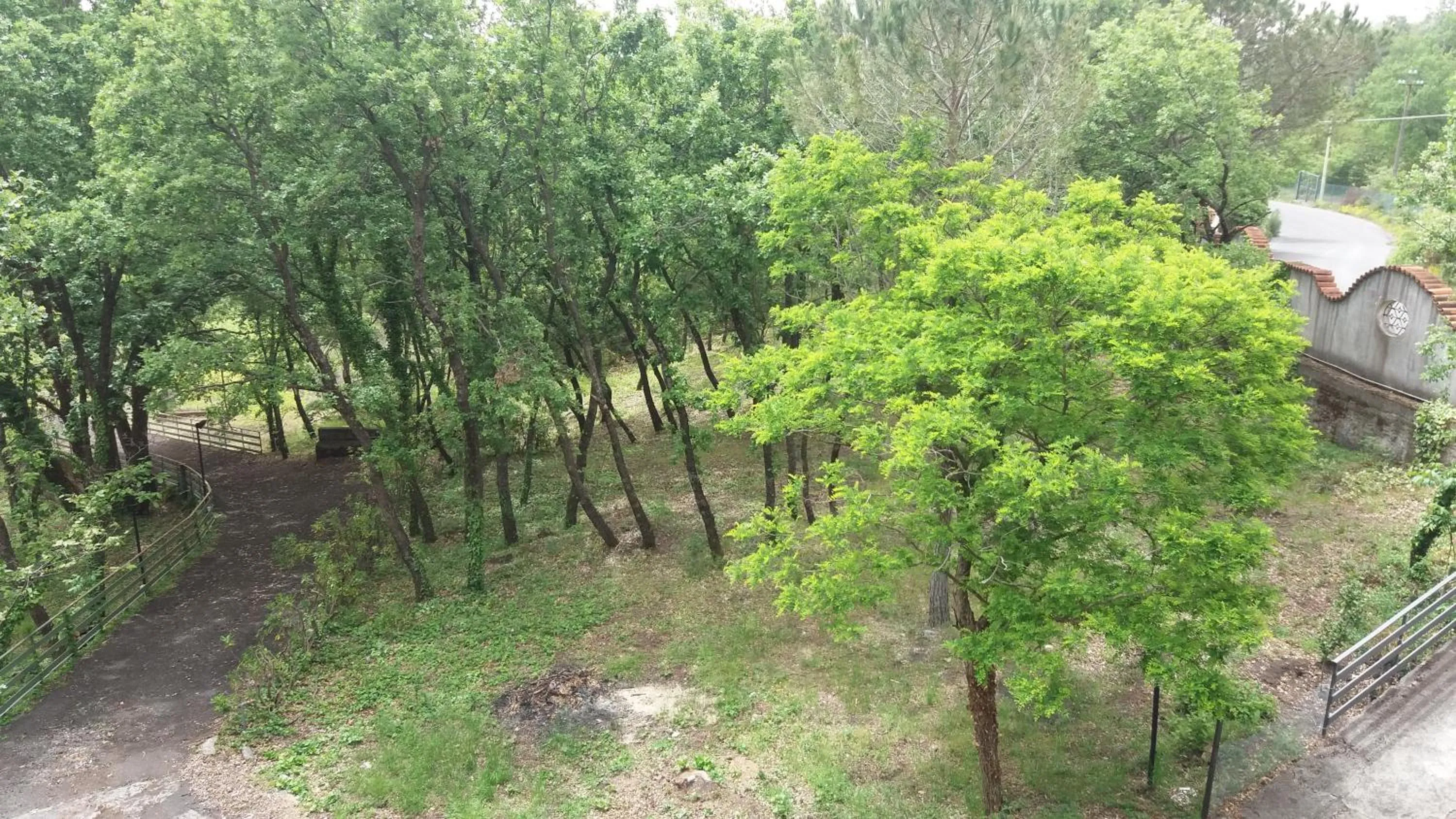 View (from property/room) in B&B Le Tre Rose Di Maria