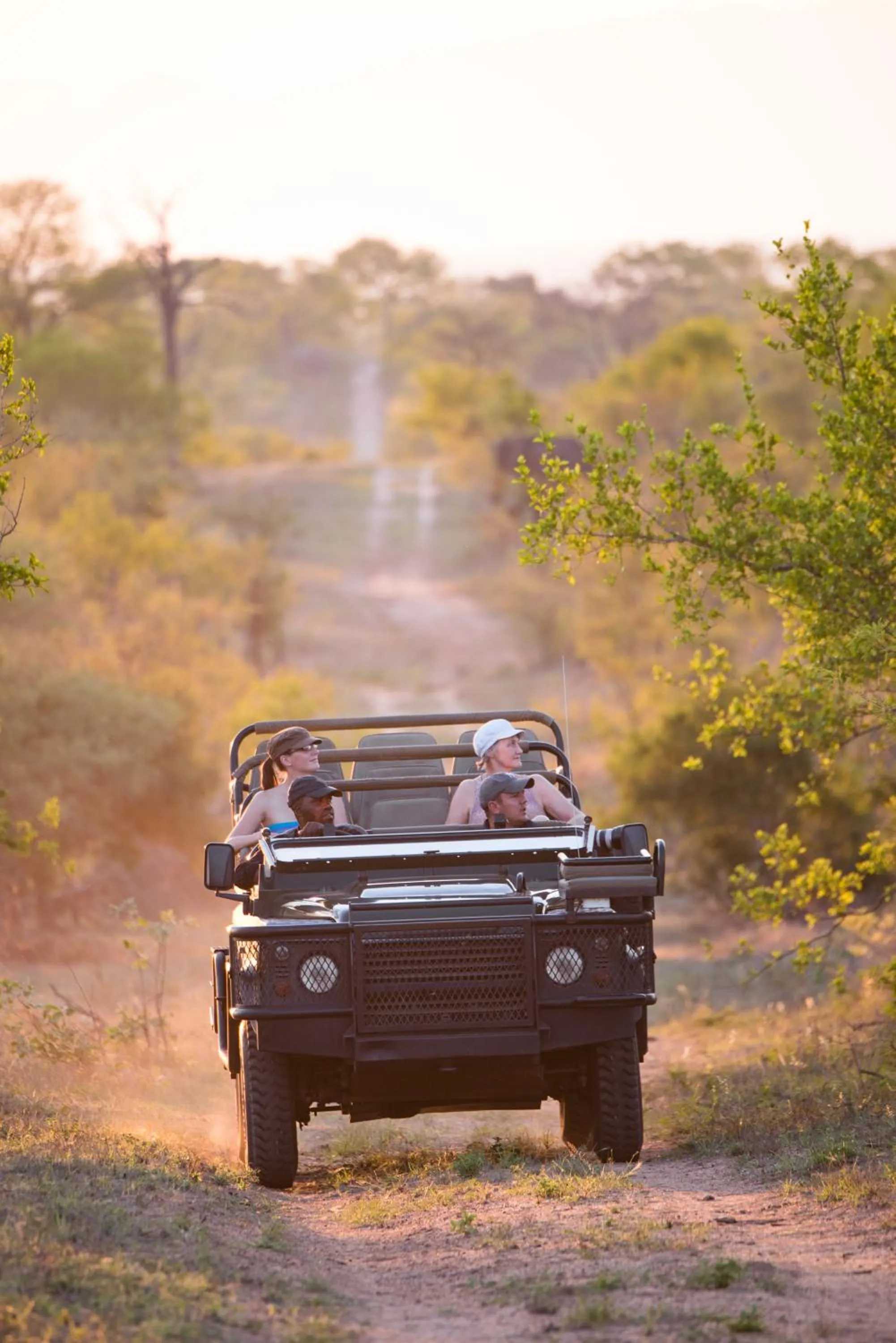 Activities in Buffelshoek Tented Camp