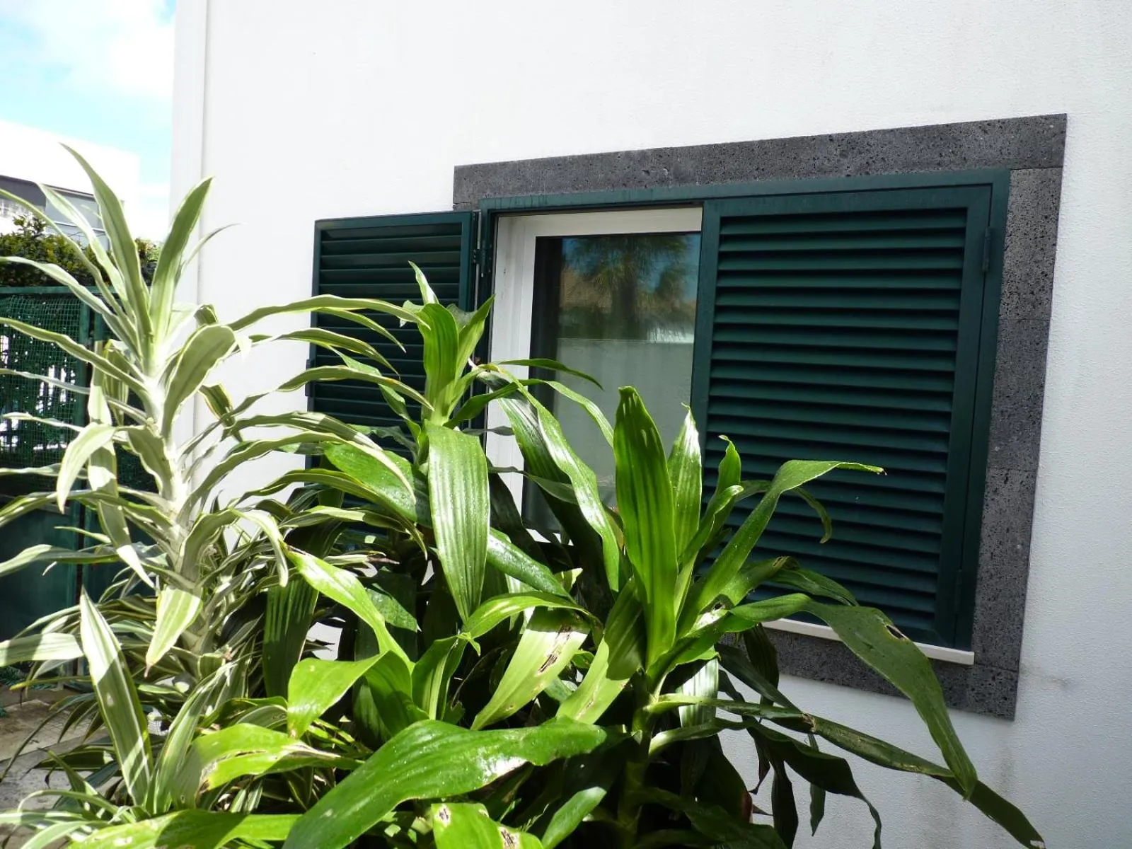 Inner courtyard view in AZORES HOLIDAYS HOUSE -B&B - Suites - Self Check-in KEYBOARD