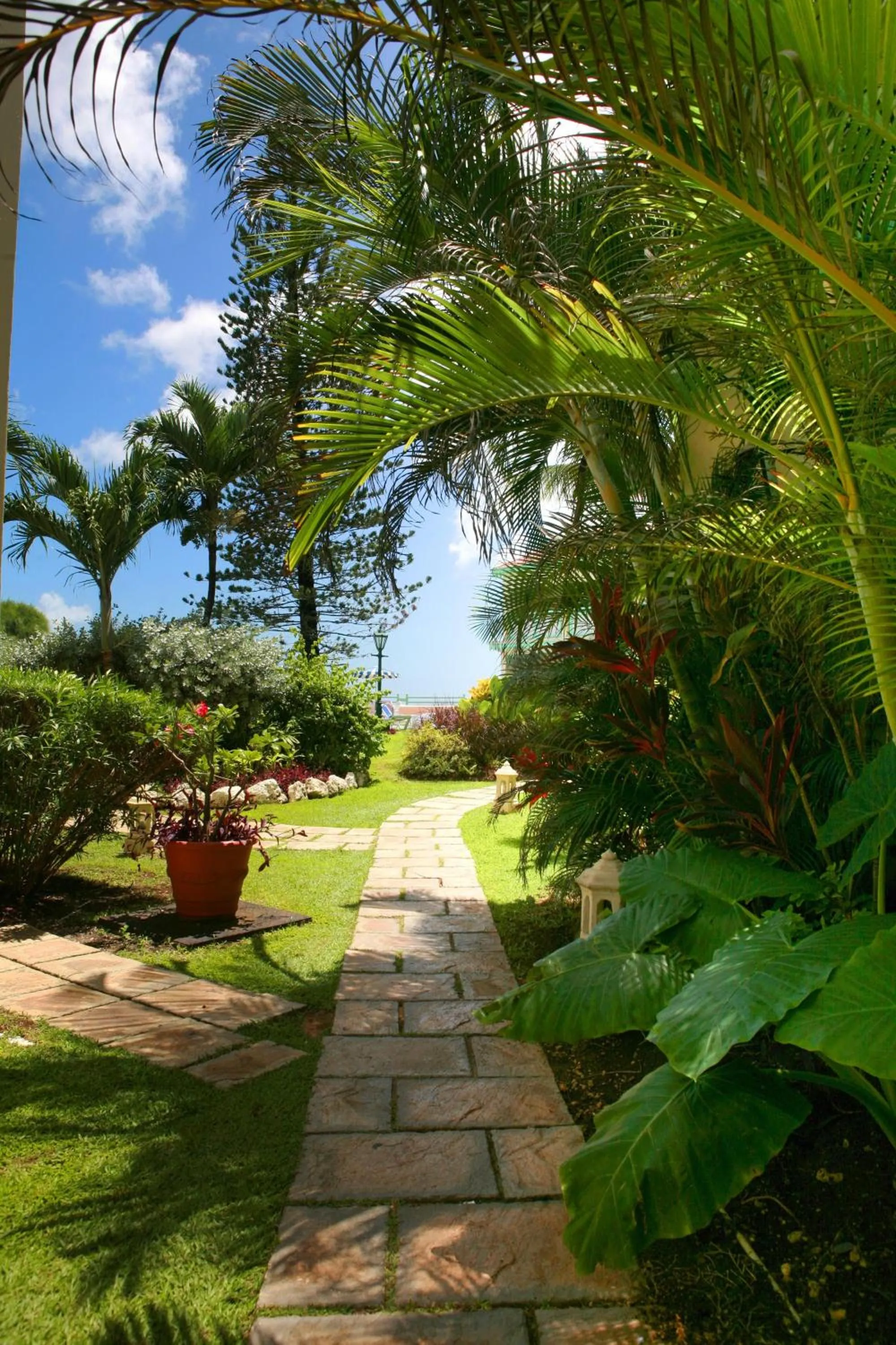 Day in Blue Orchids Beach Hotel