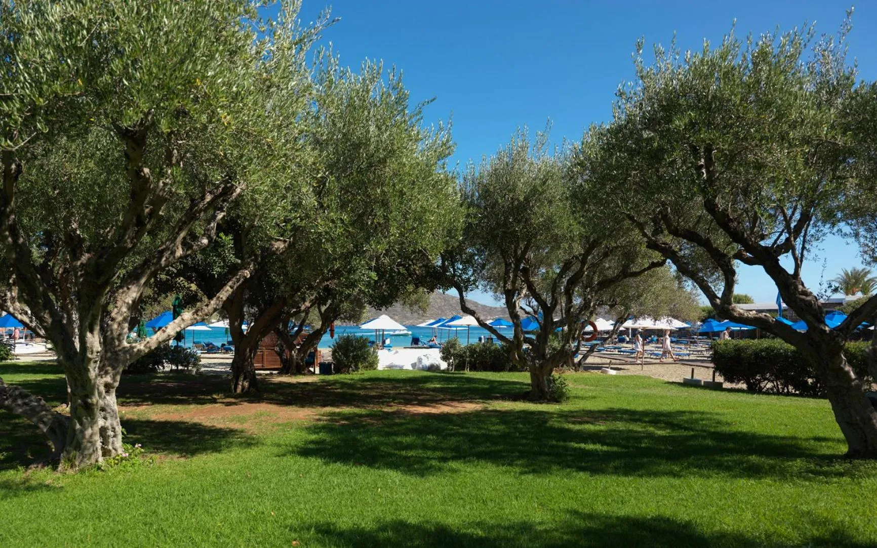 Garden in Elounda Beach Hotel & Villas, a Member of the Leading Hotels of the World