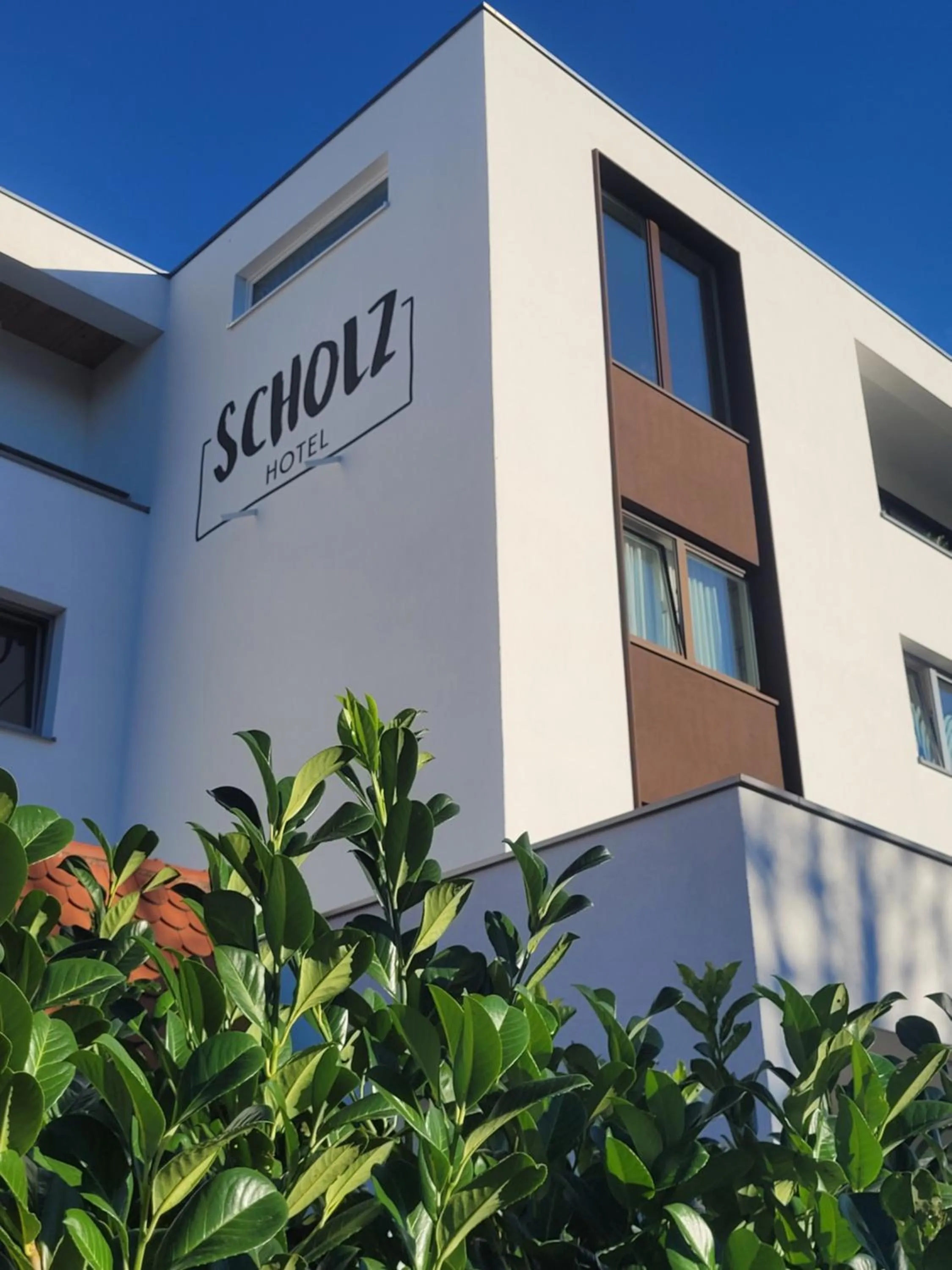 Property building in Hotel Scholz