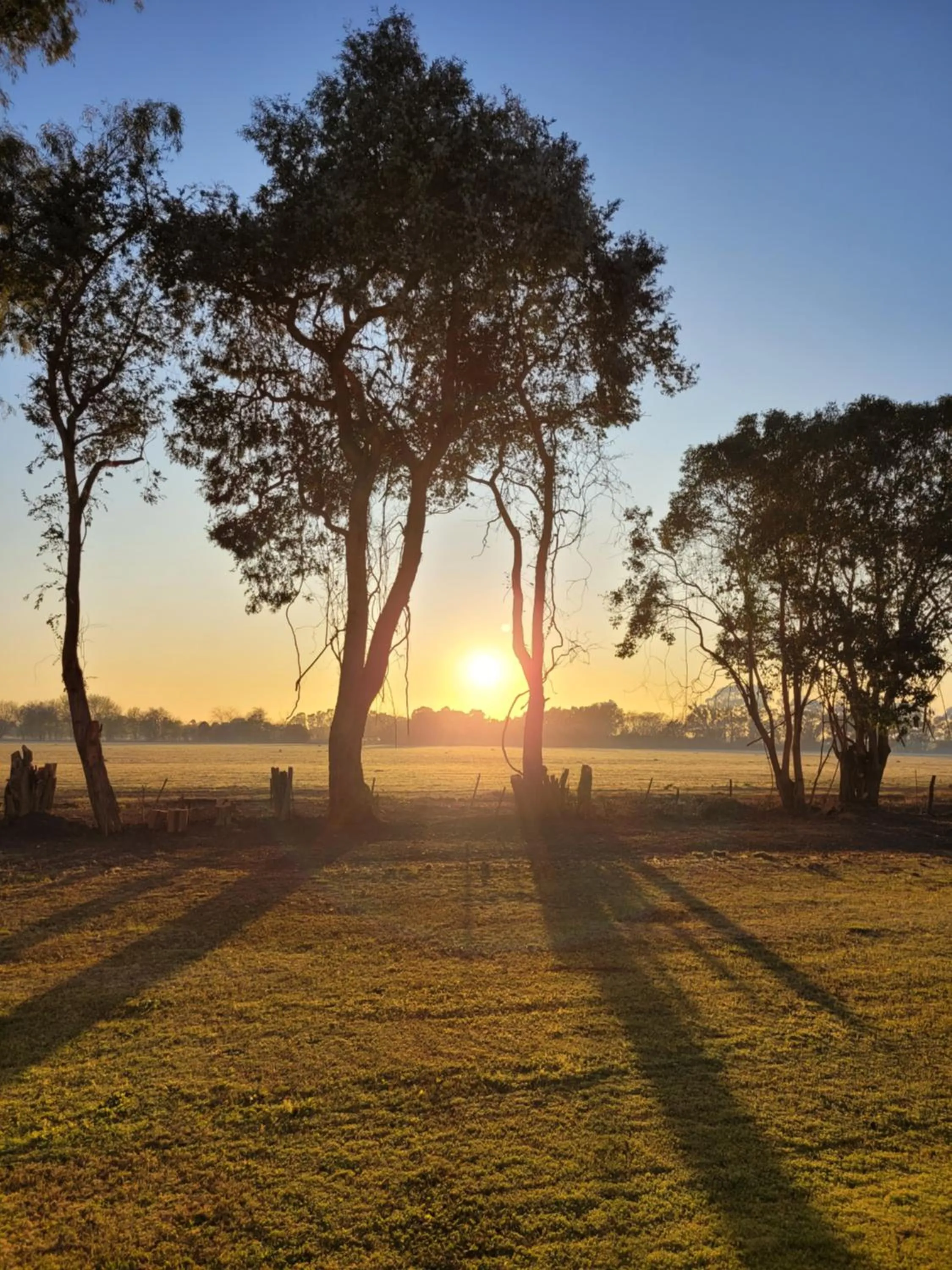 La Perdida Casa de Campo