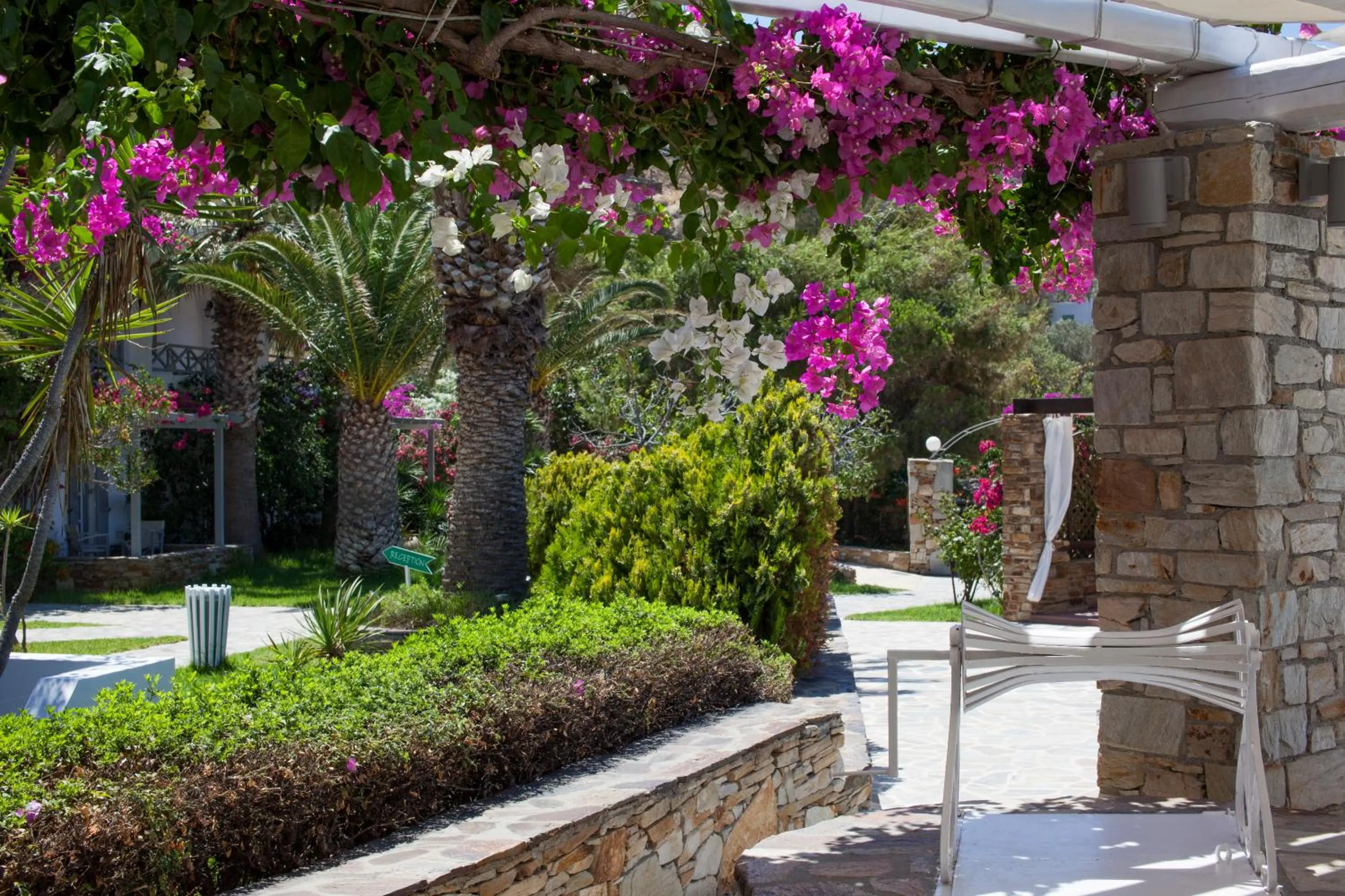 Garden in Dionysos Seaside Resort Ios