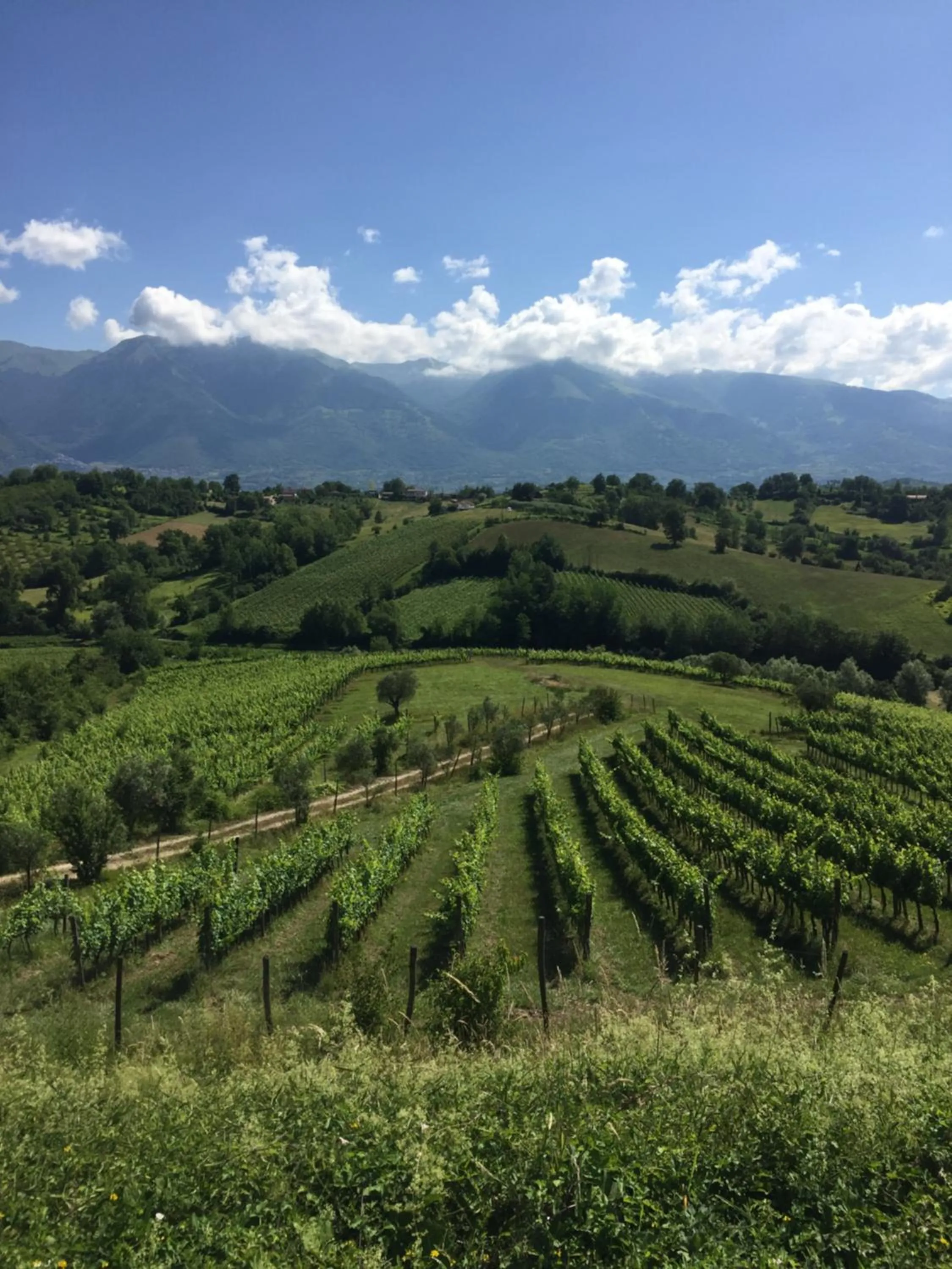Nearby landmark in Palazzo del Senatore