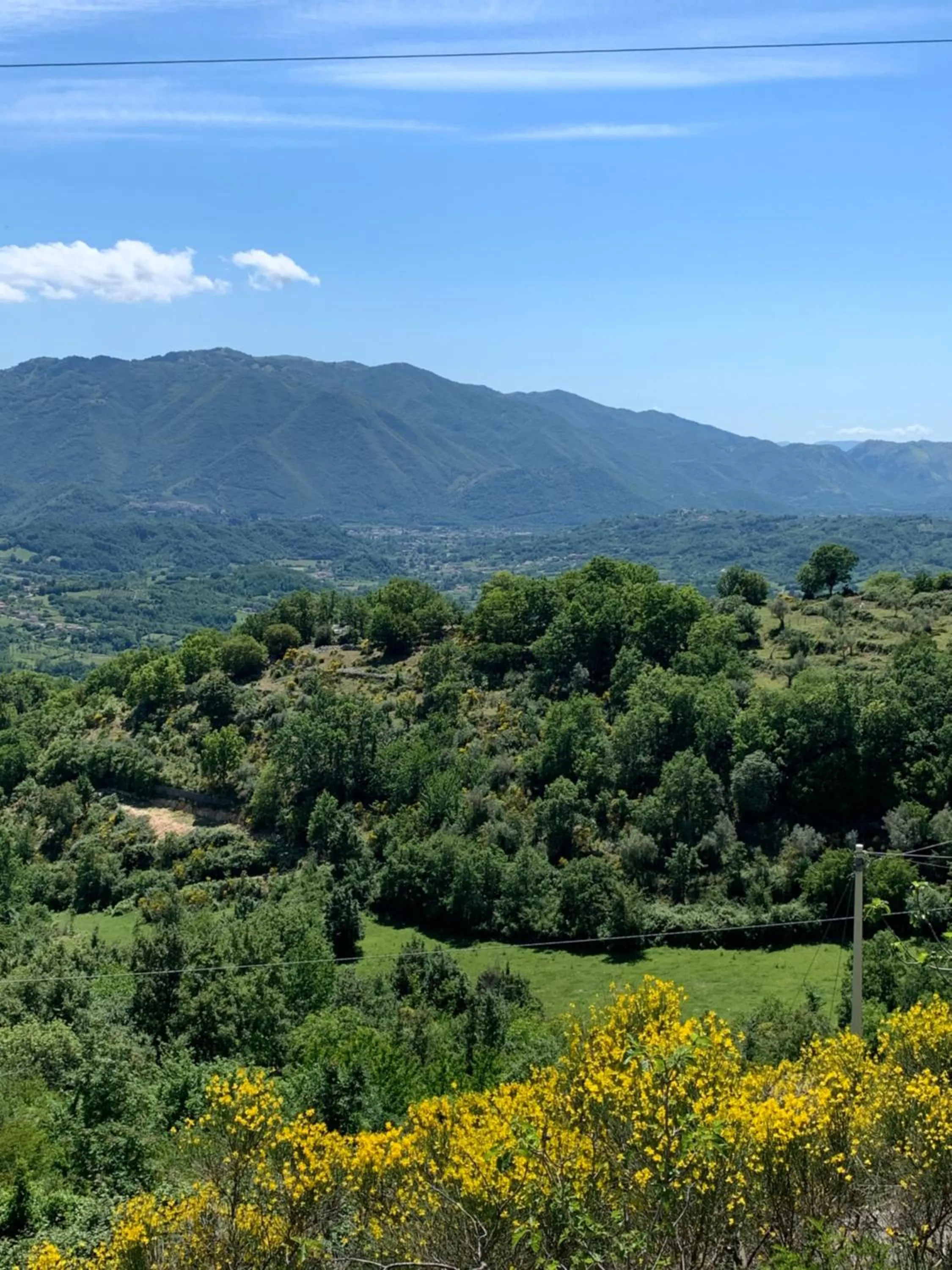 Nearby landmark in Palazzo del Senatore