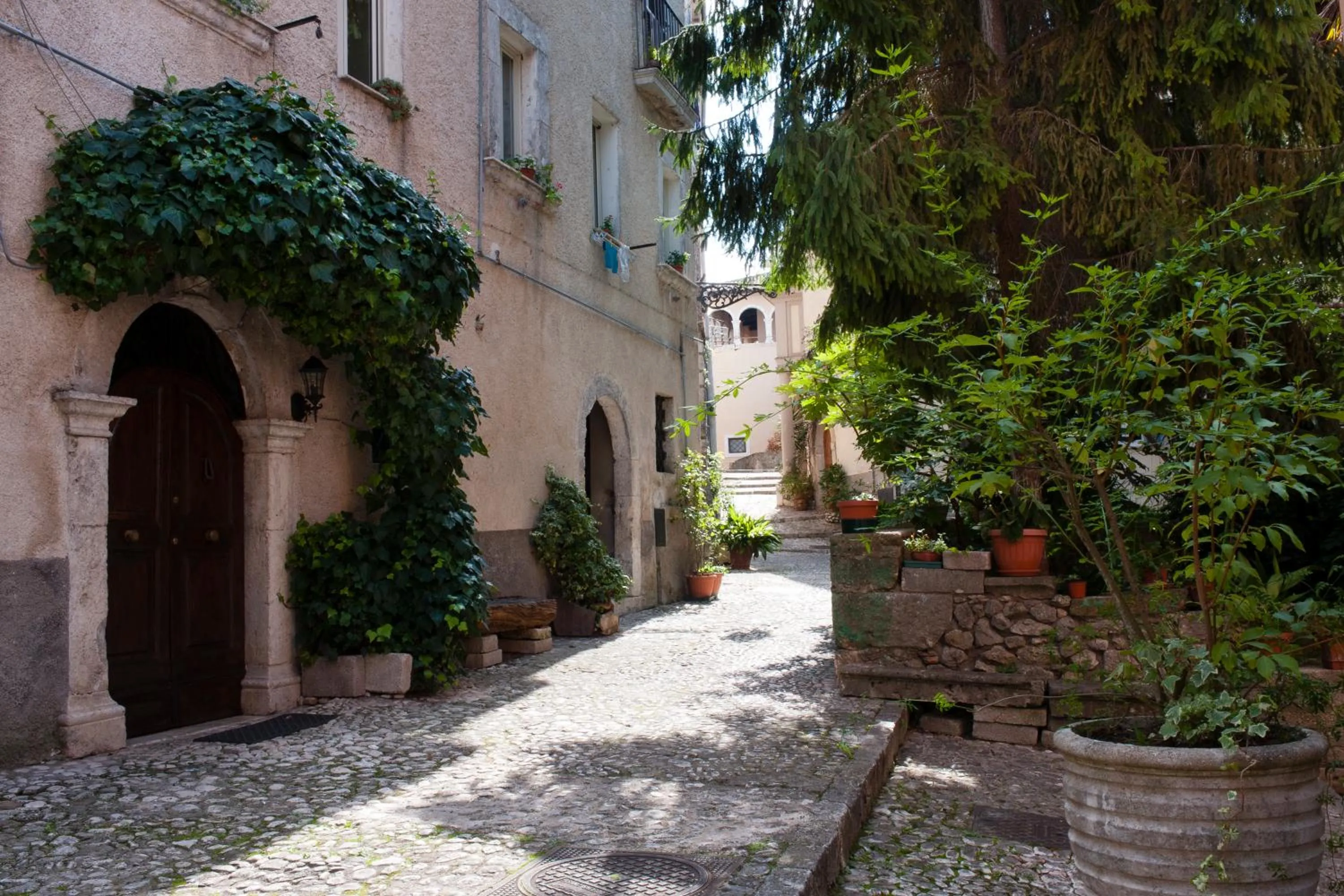 Neighbourhood in Palazzo del Senatore