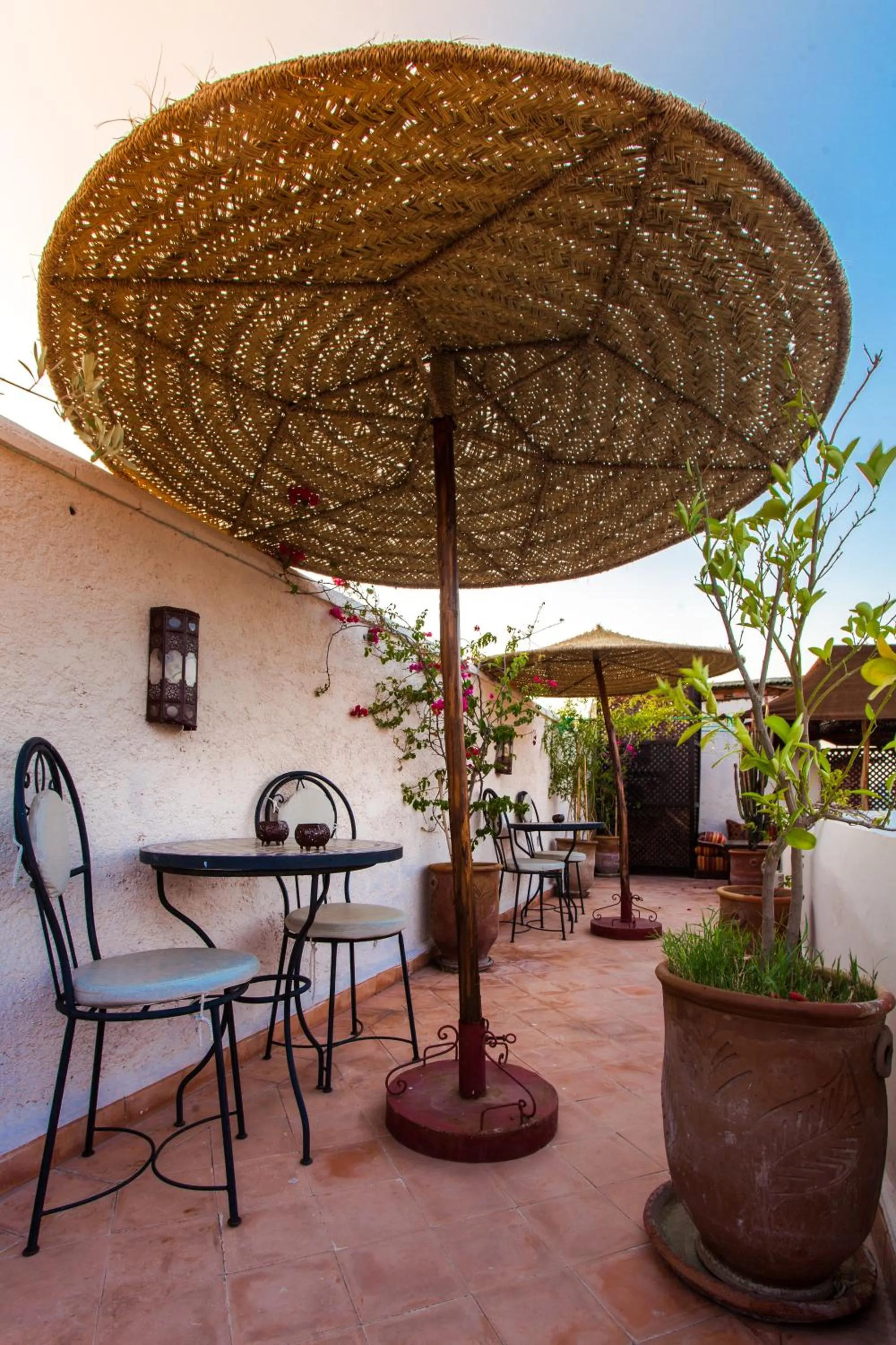 Garden in Riad Chams Marrakech