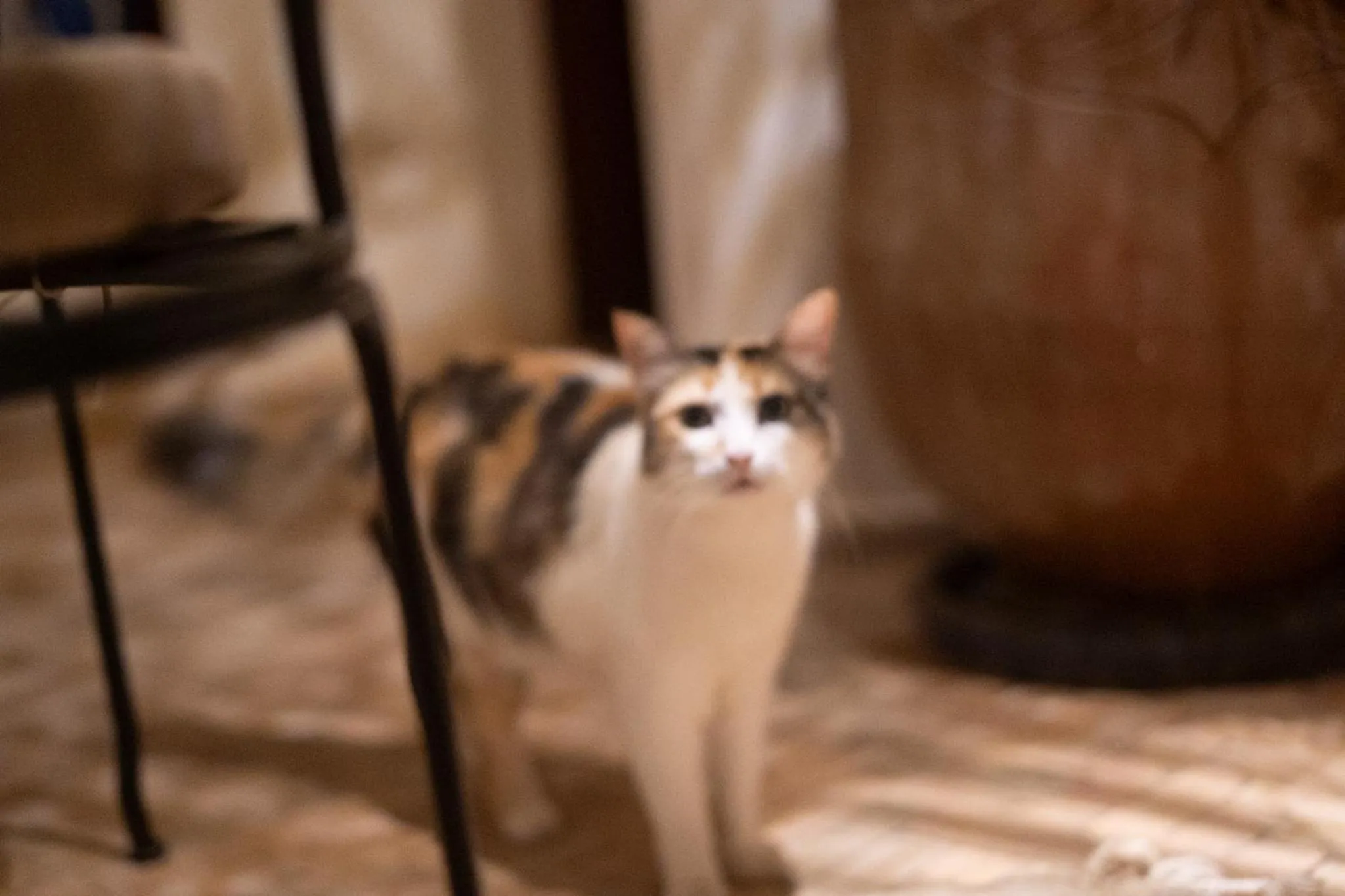 Property building in Riad Chams Marrakech