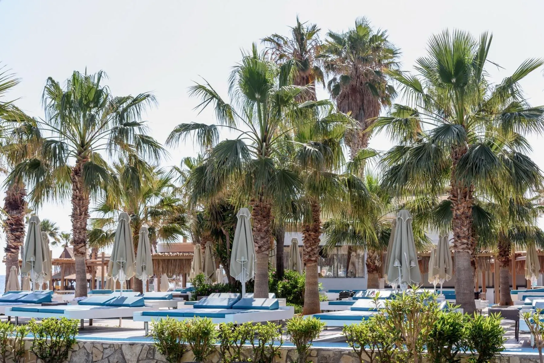 Lounge or bar in Star Beach Village & Water Park