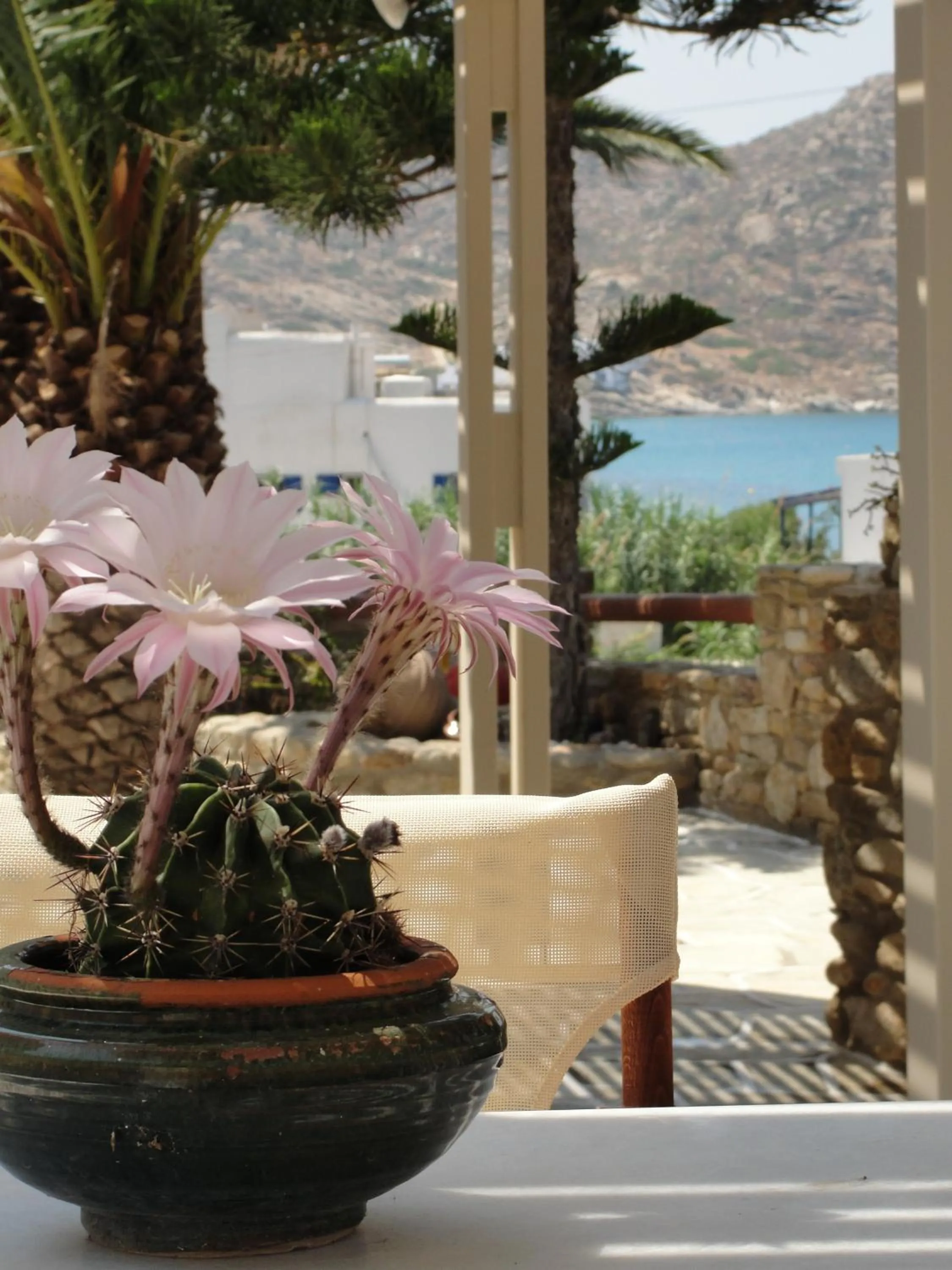 View (from property/room) in Galaxy Hotel