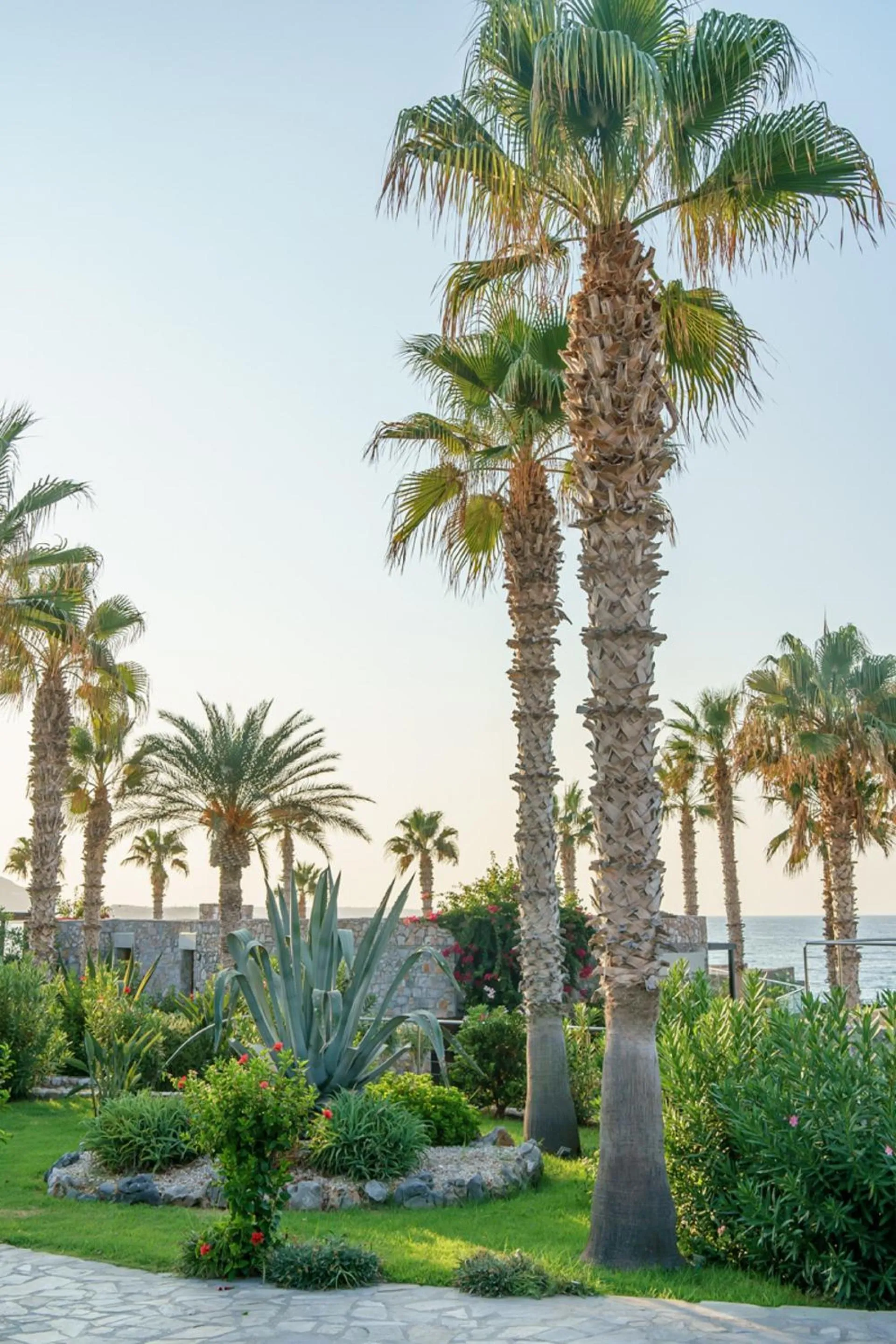 Garden in Ikaros Beach, Luxury Resort & Spa - Adults Only