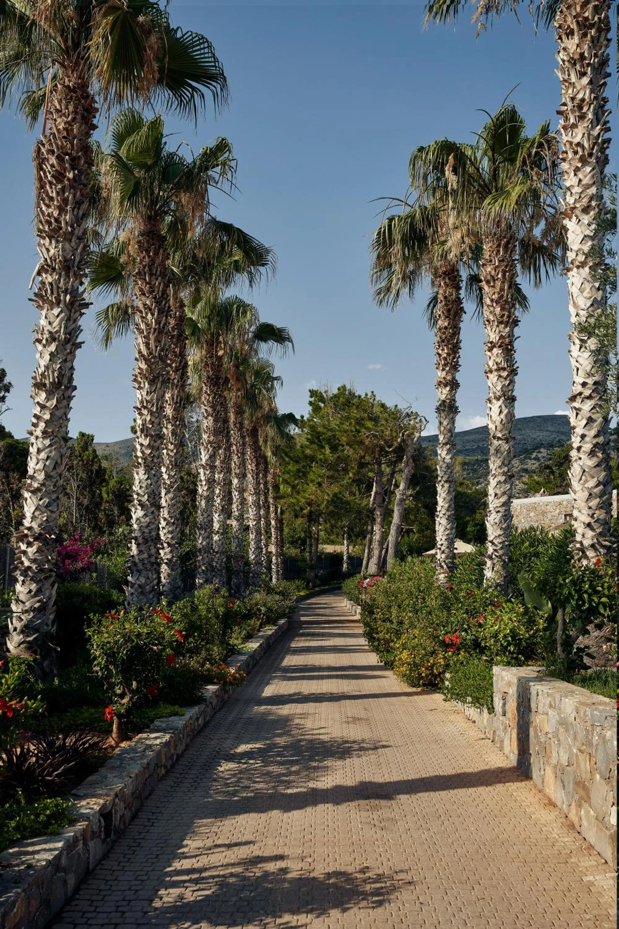 Garden in Ikaros Beach, Luxury Resort & Spa - Adults Only
