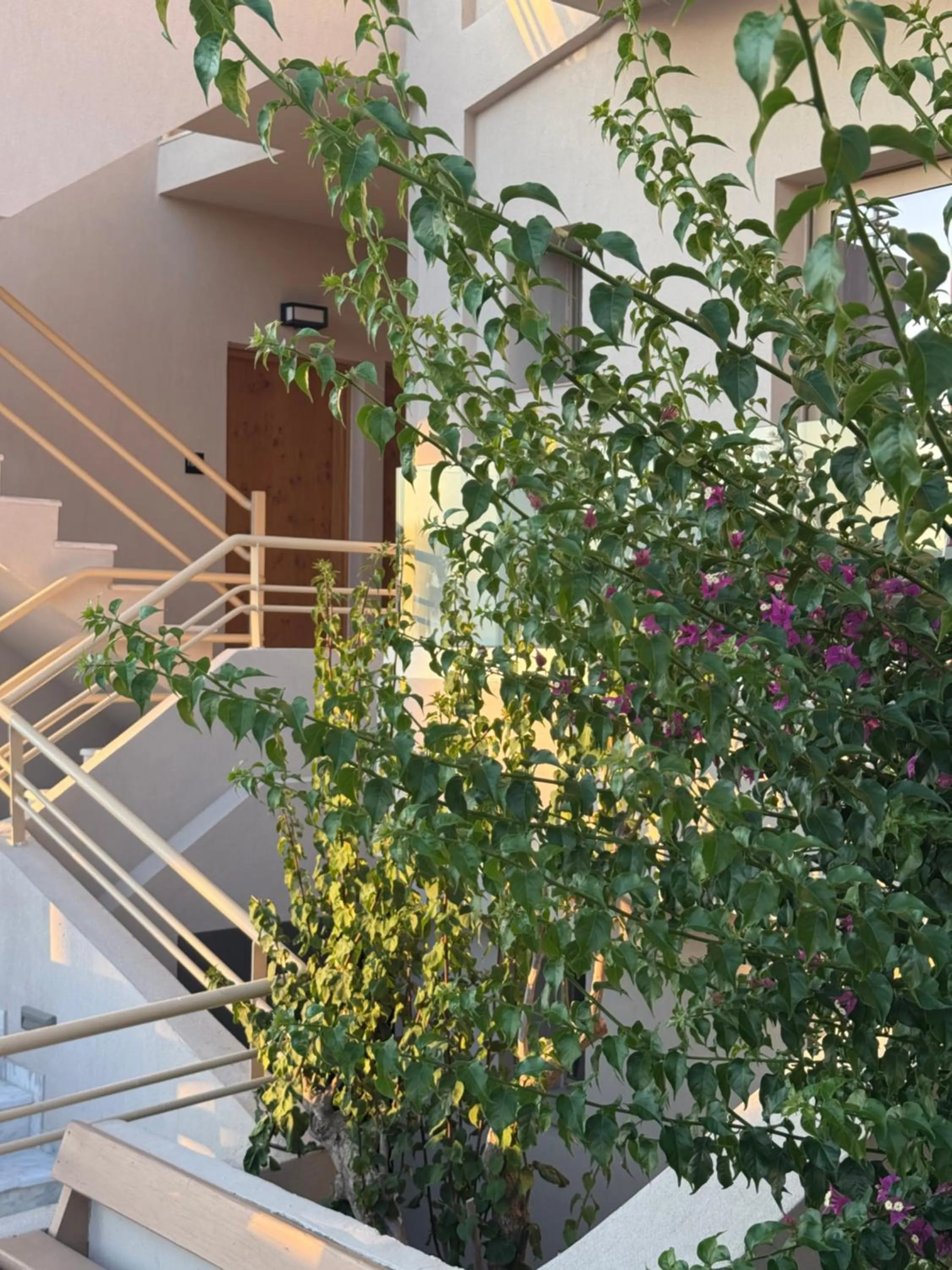 Garden in Τhe Noverian Antama Organic Beach Resort Chania