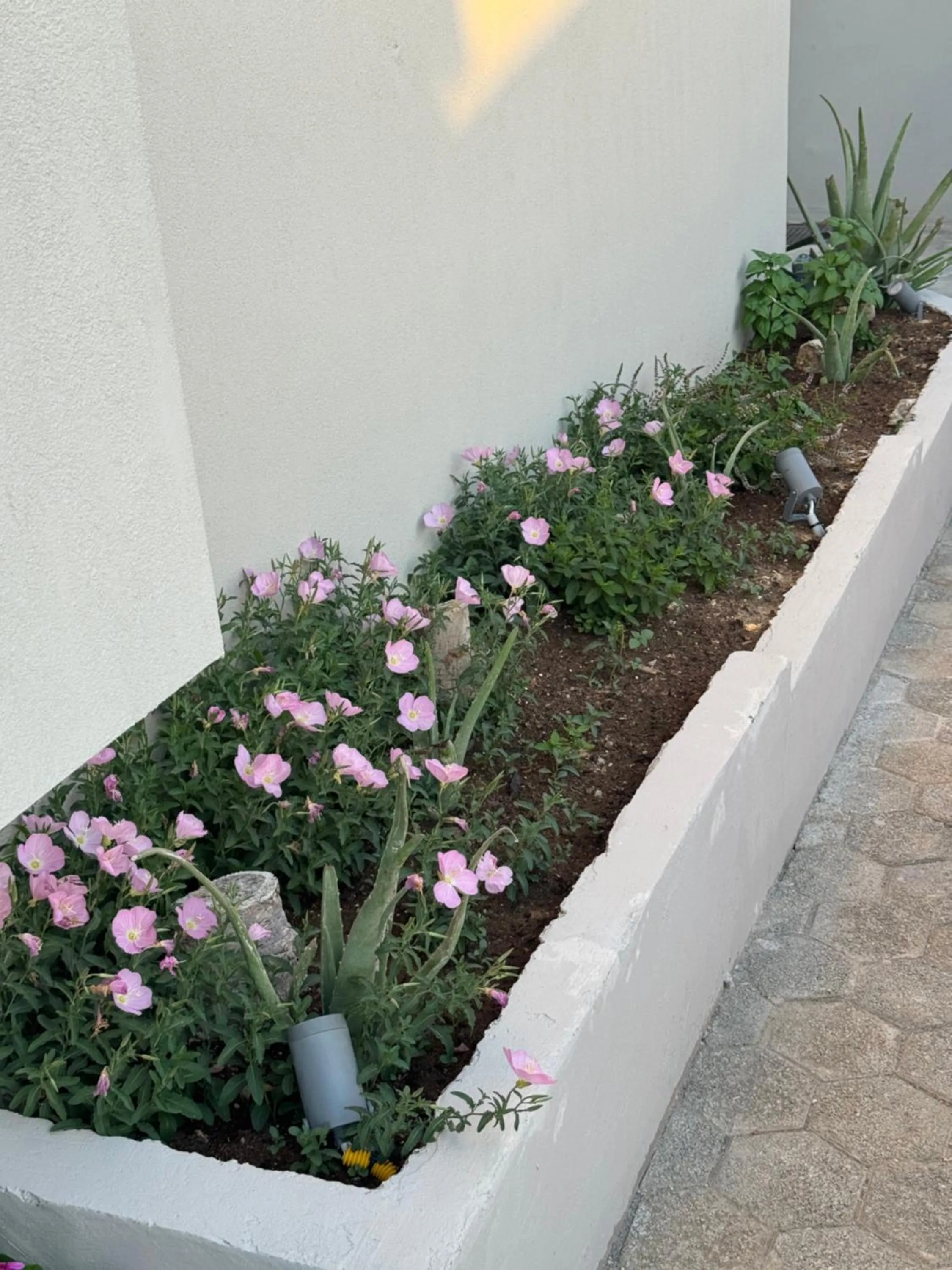 Garden in Τhe Noverian Antama Organic Beach Resort Chania