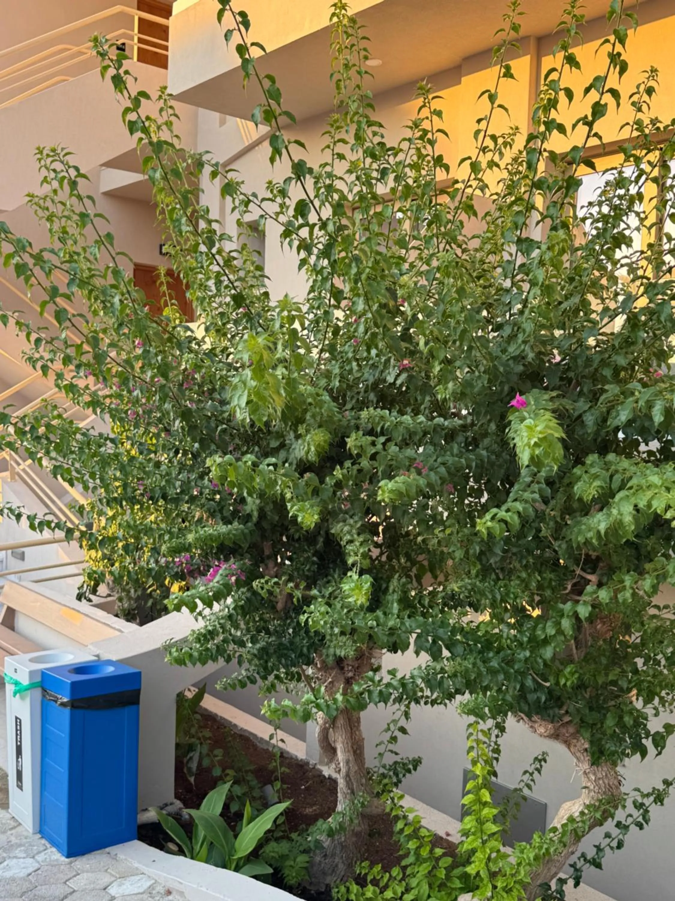 Garden in Τhe Noverian Antama Organic Beach Resort Chania