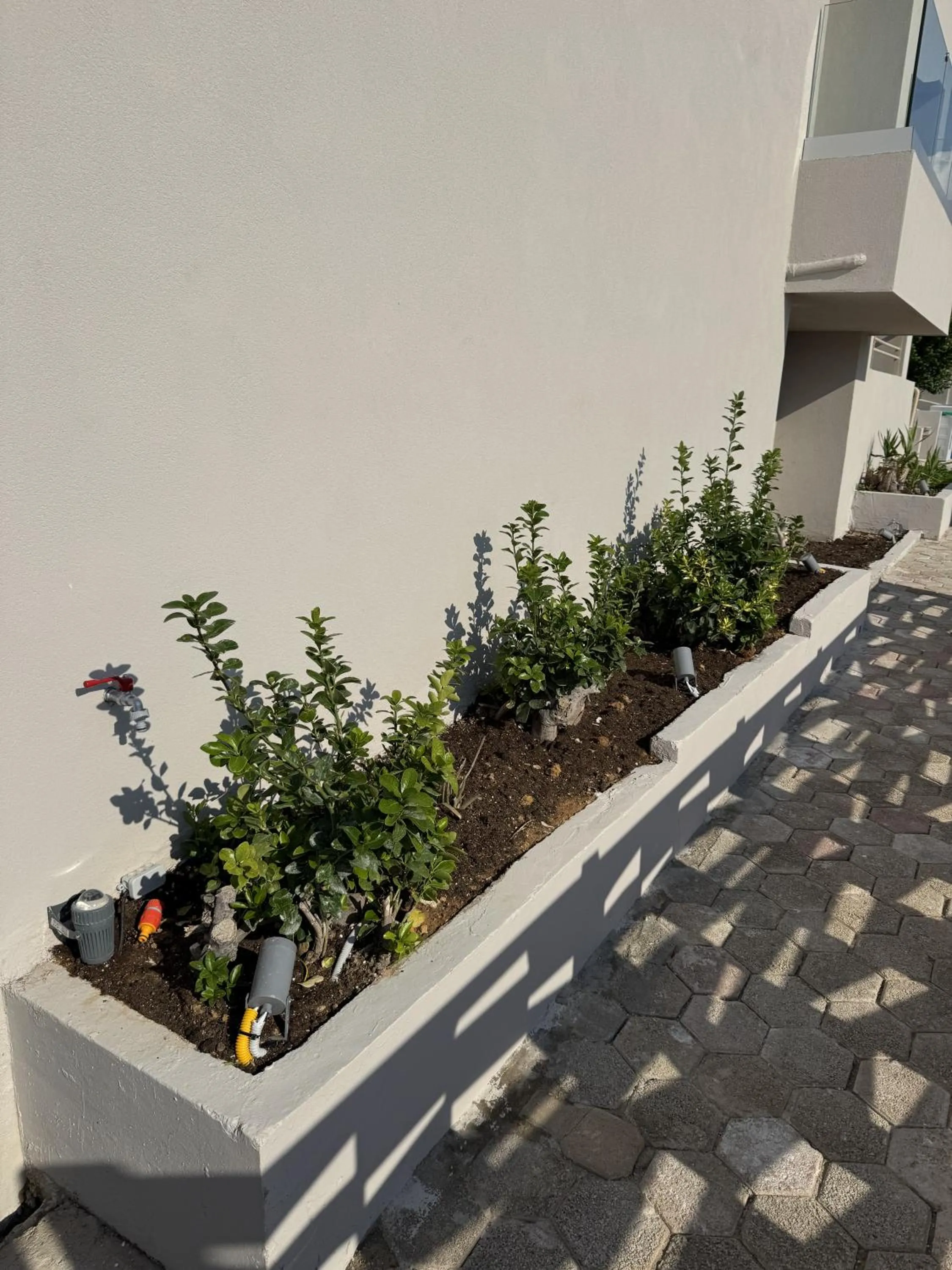 Garden in Τhe Noverian Antama Organic Beach Resort Chania