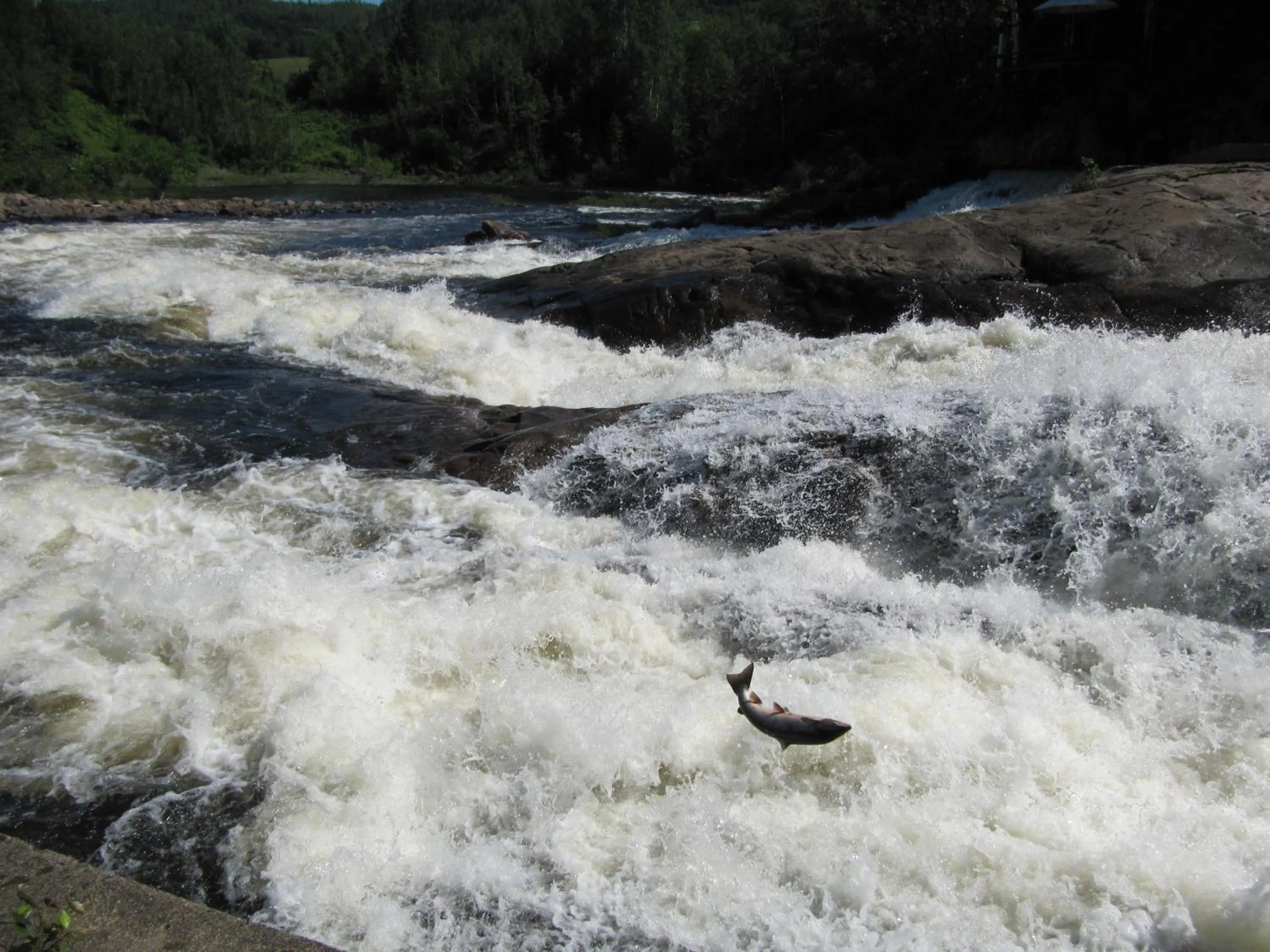 Nearby landmark in Gîte Marie-Claire