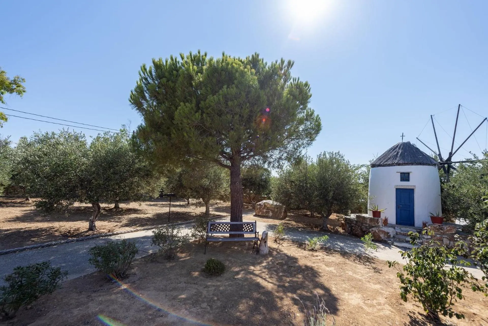 Garden in Parosland Hotel