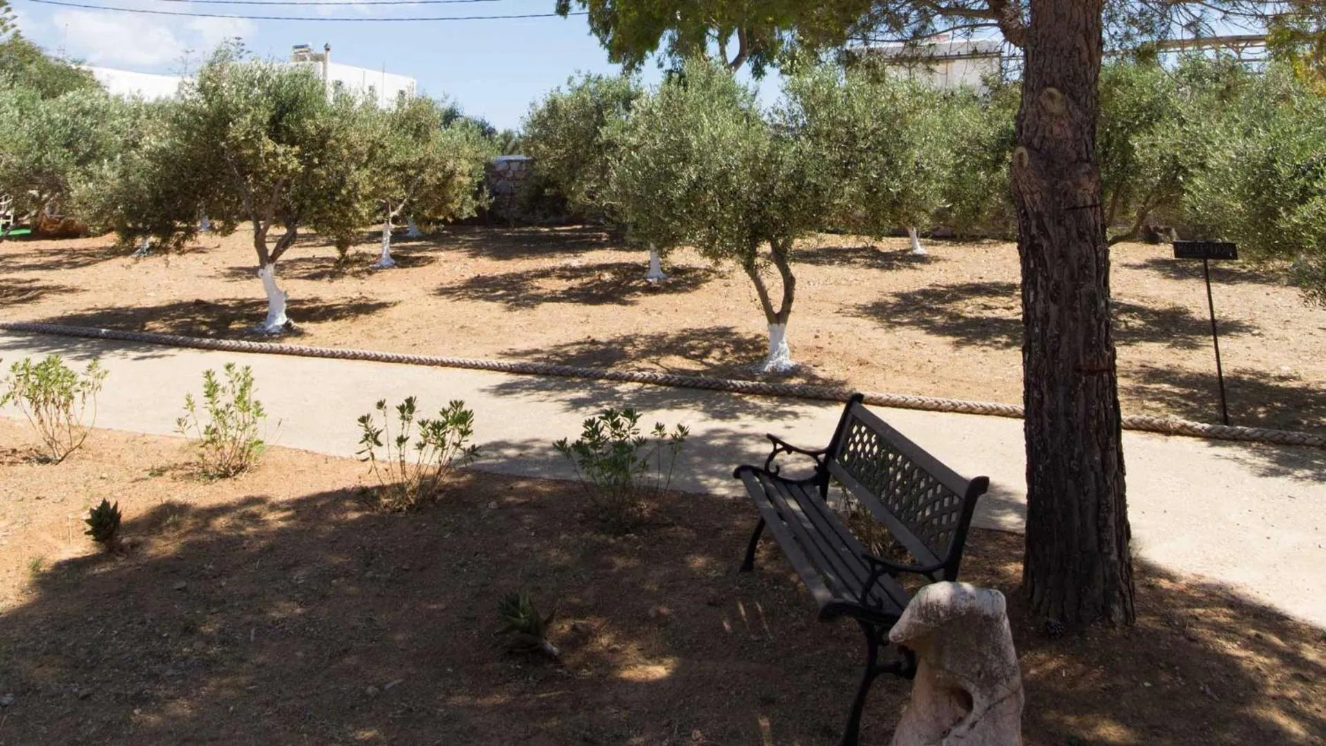 Garden in Parosland Hotel