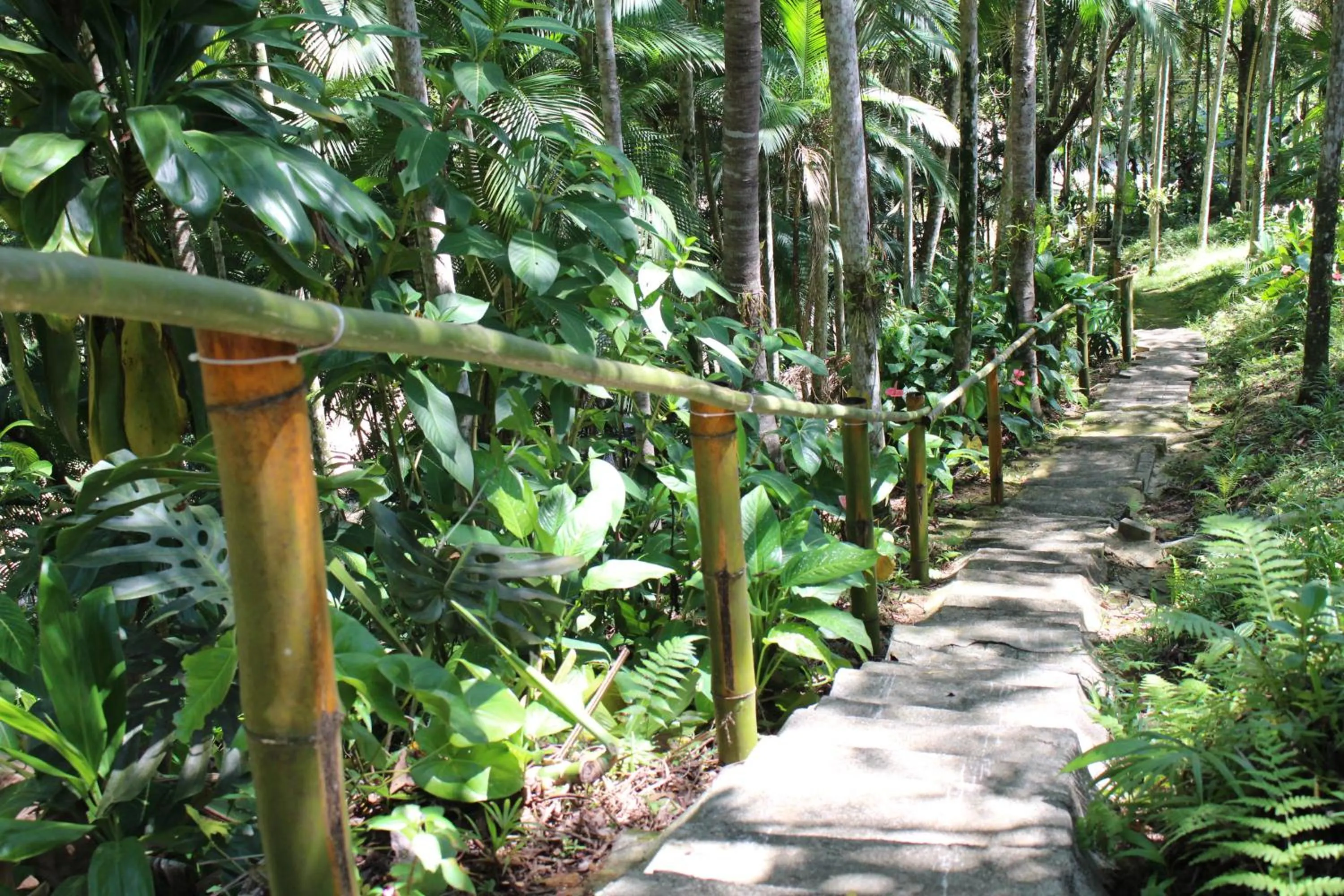 Hiking in Hotel do Santuário