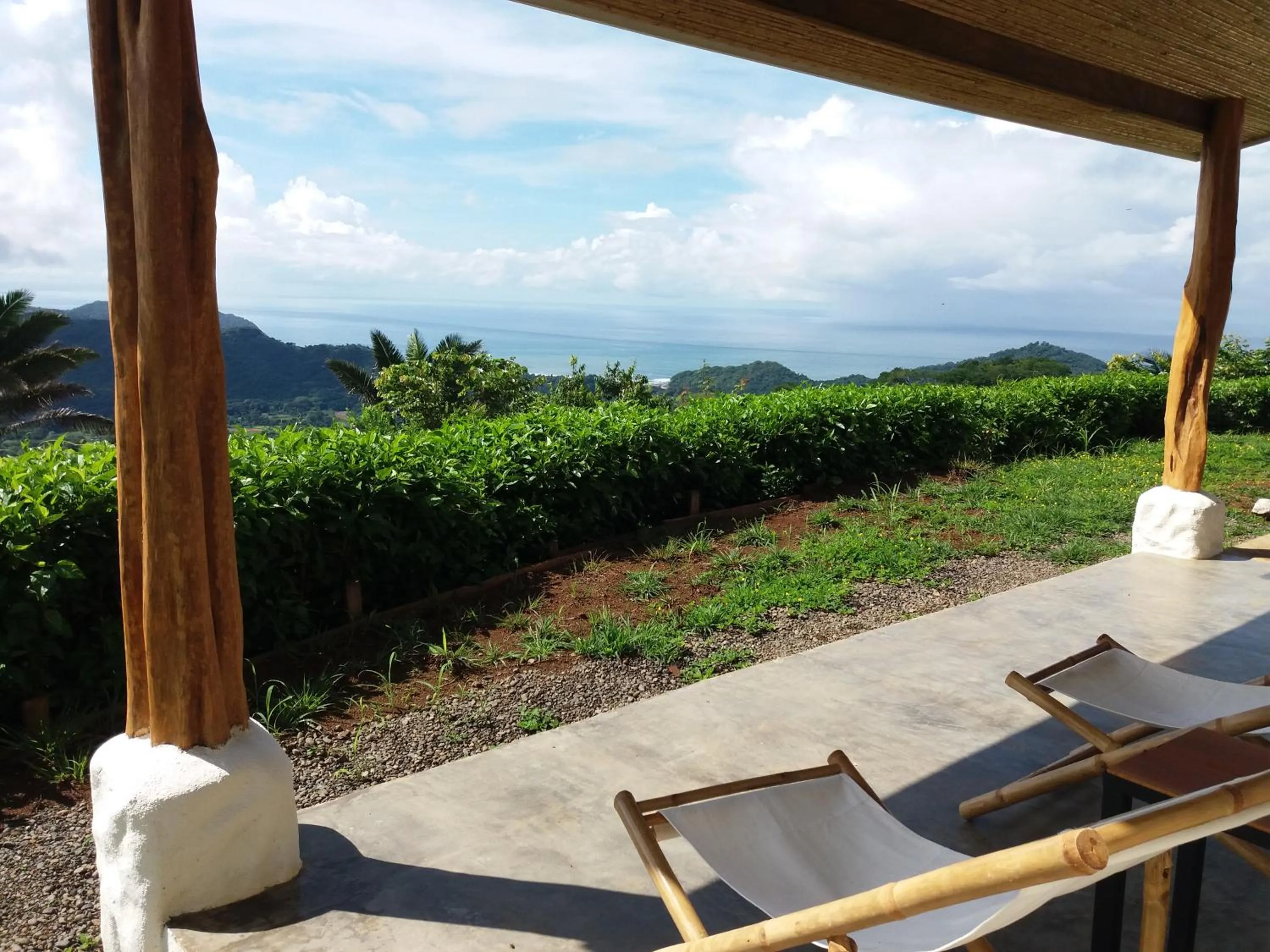 Balcony/Terrace in Hotel Peace & Lodge