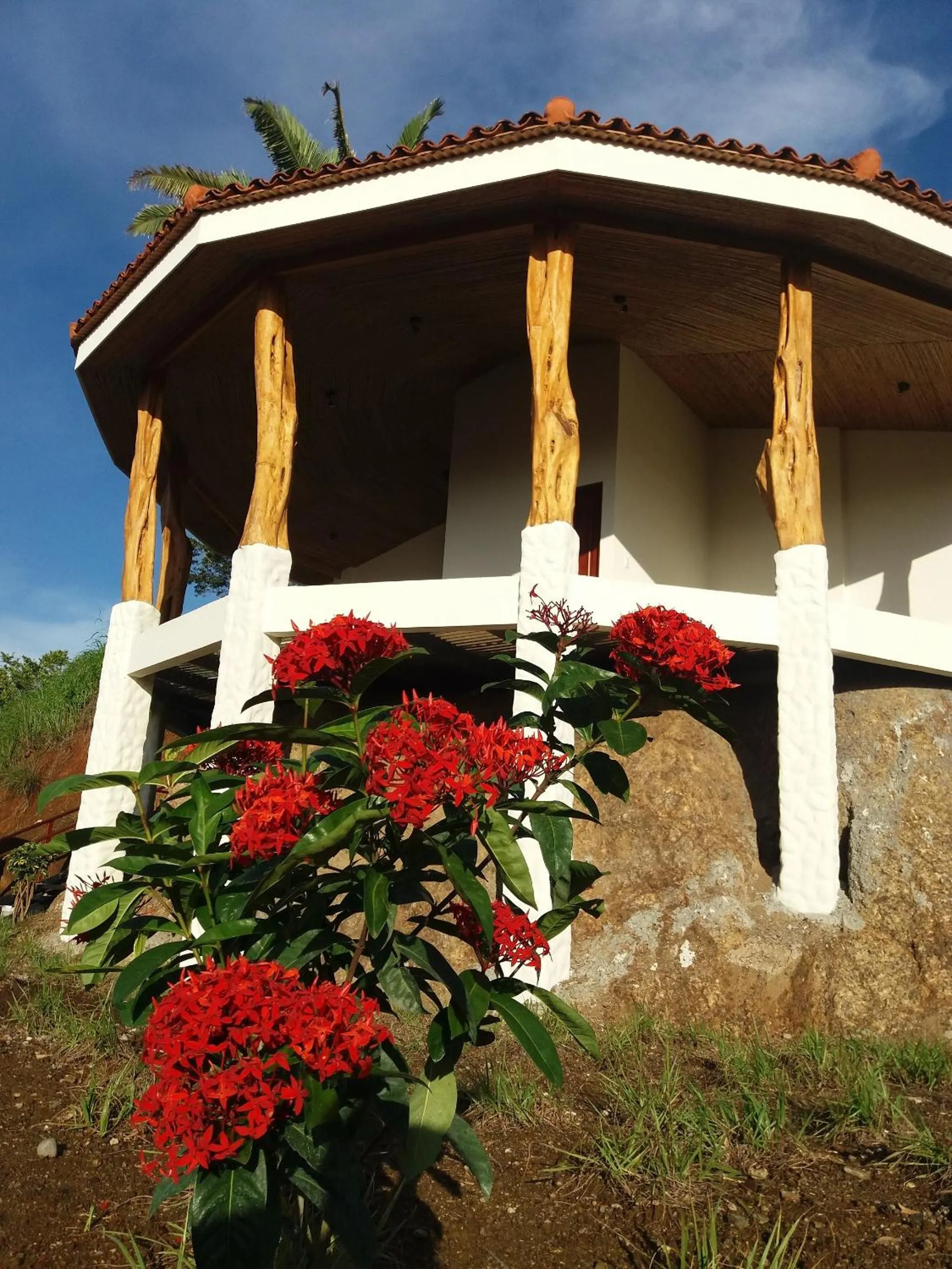 Area and facilities in Hotel Peace & Lodge