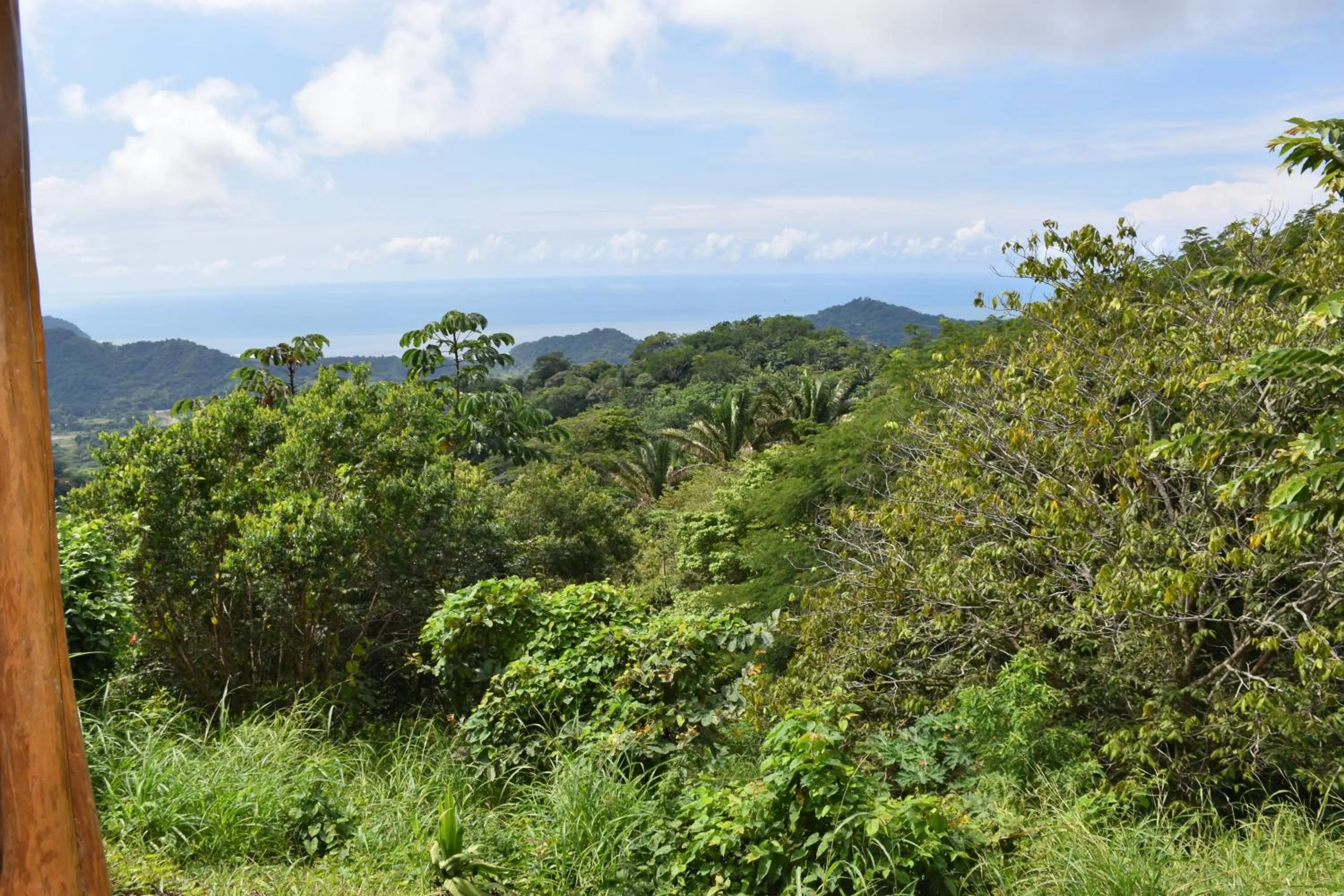 Mountain view in Hotel Peace & Lodge