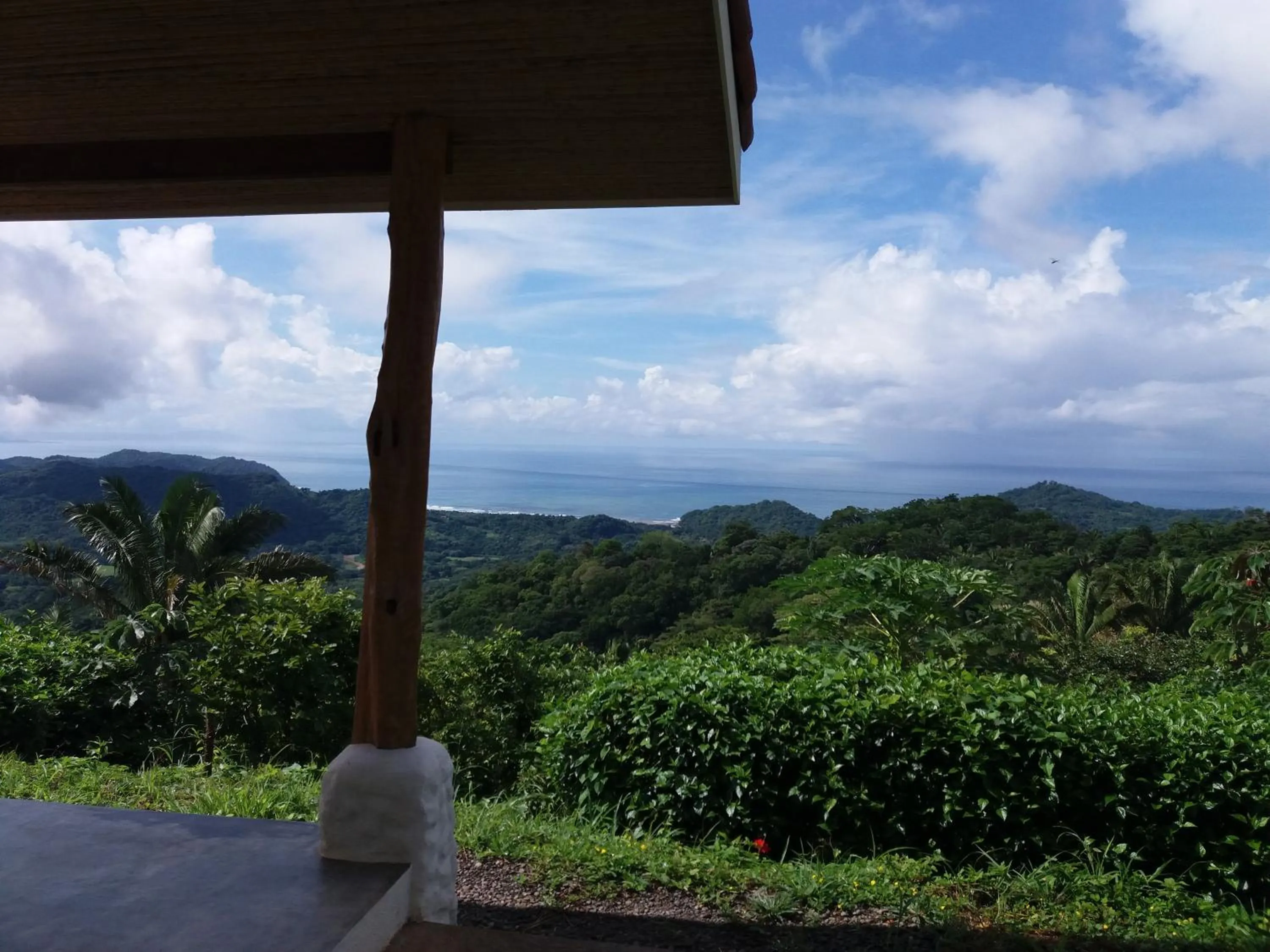 Patio in Hotel Peace & Lodge