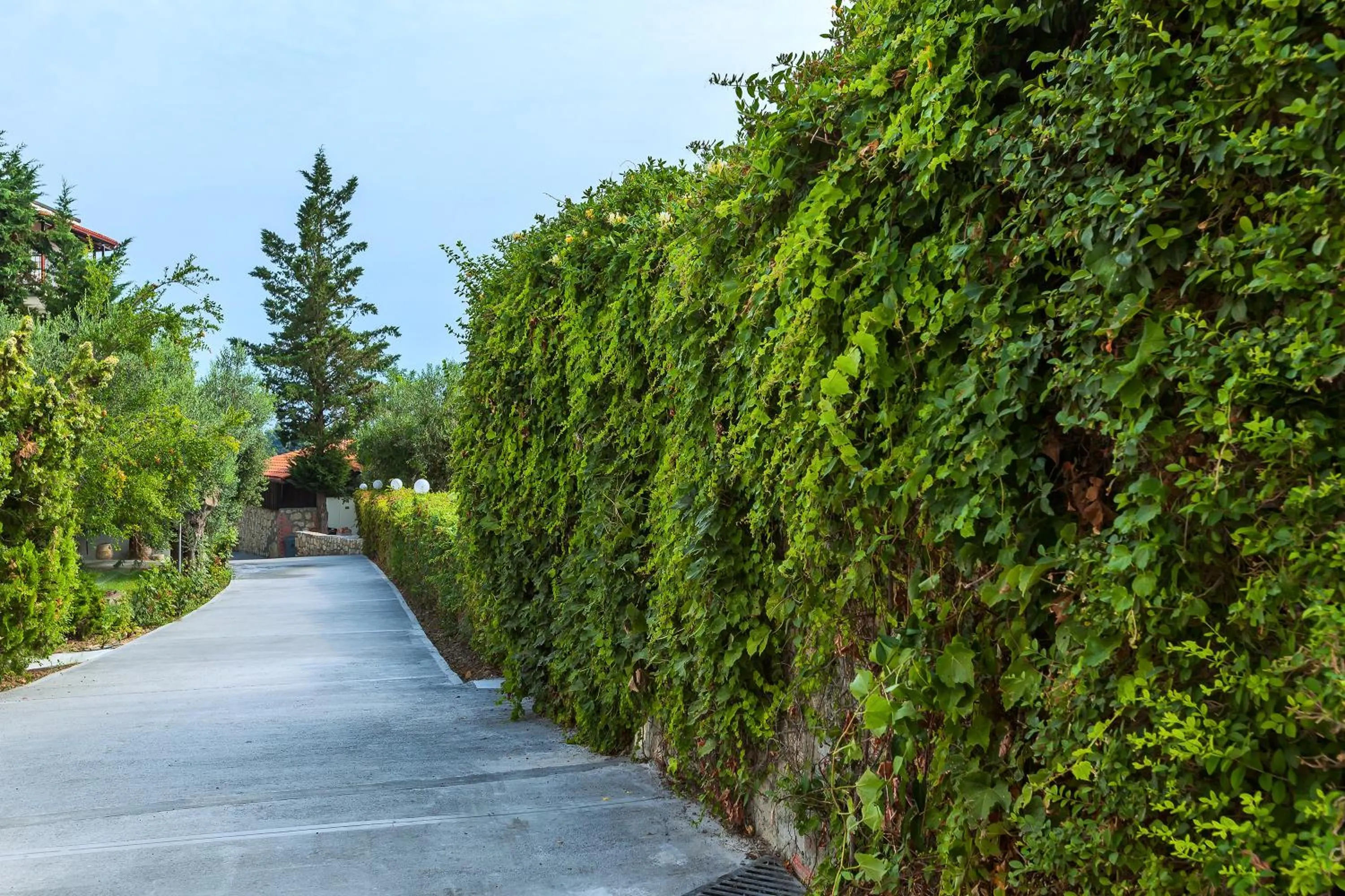Garden in Hotel Kriopigi