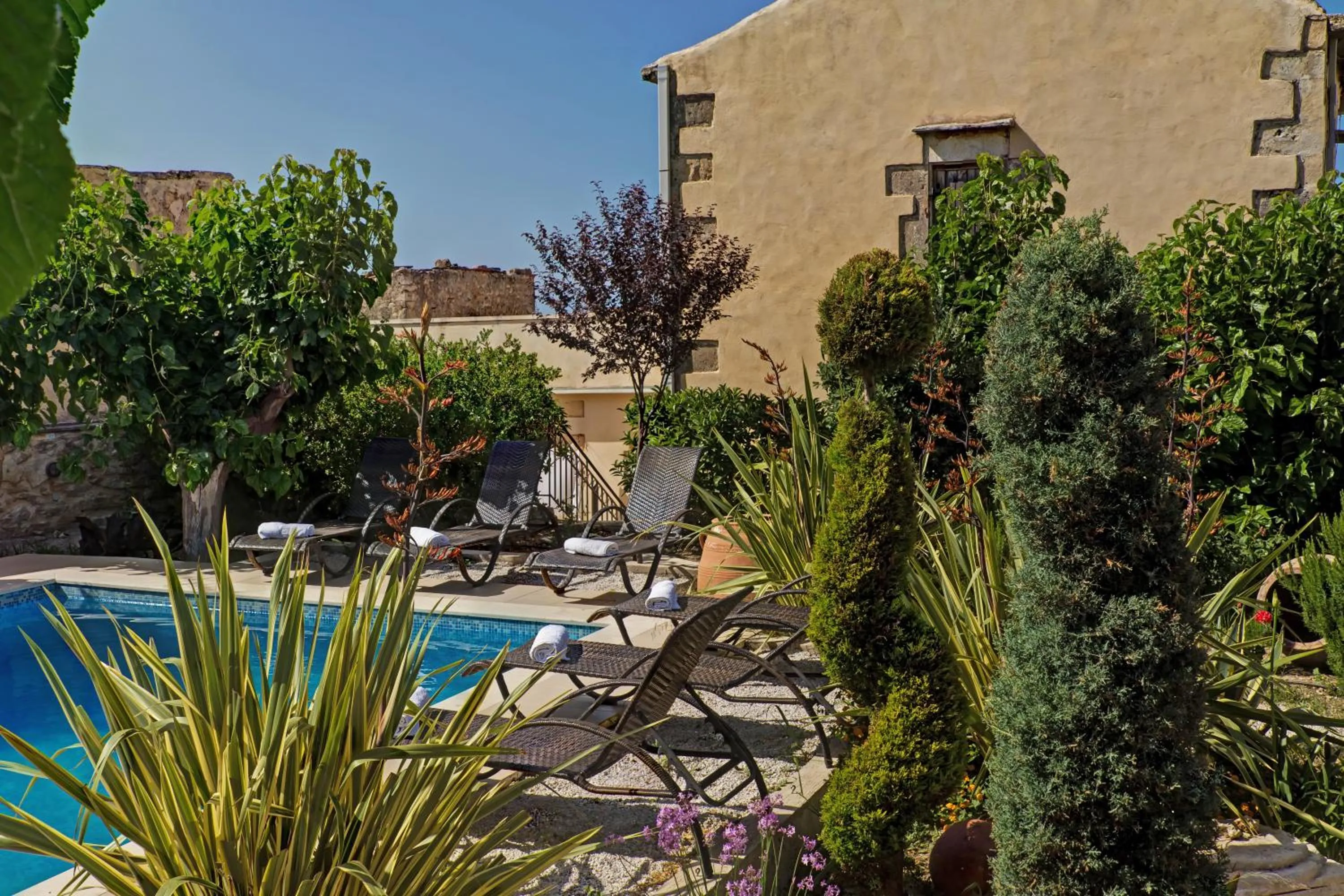 Garden in Arcus Suites