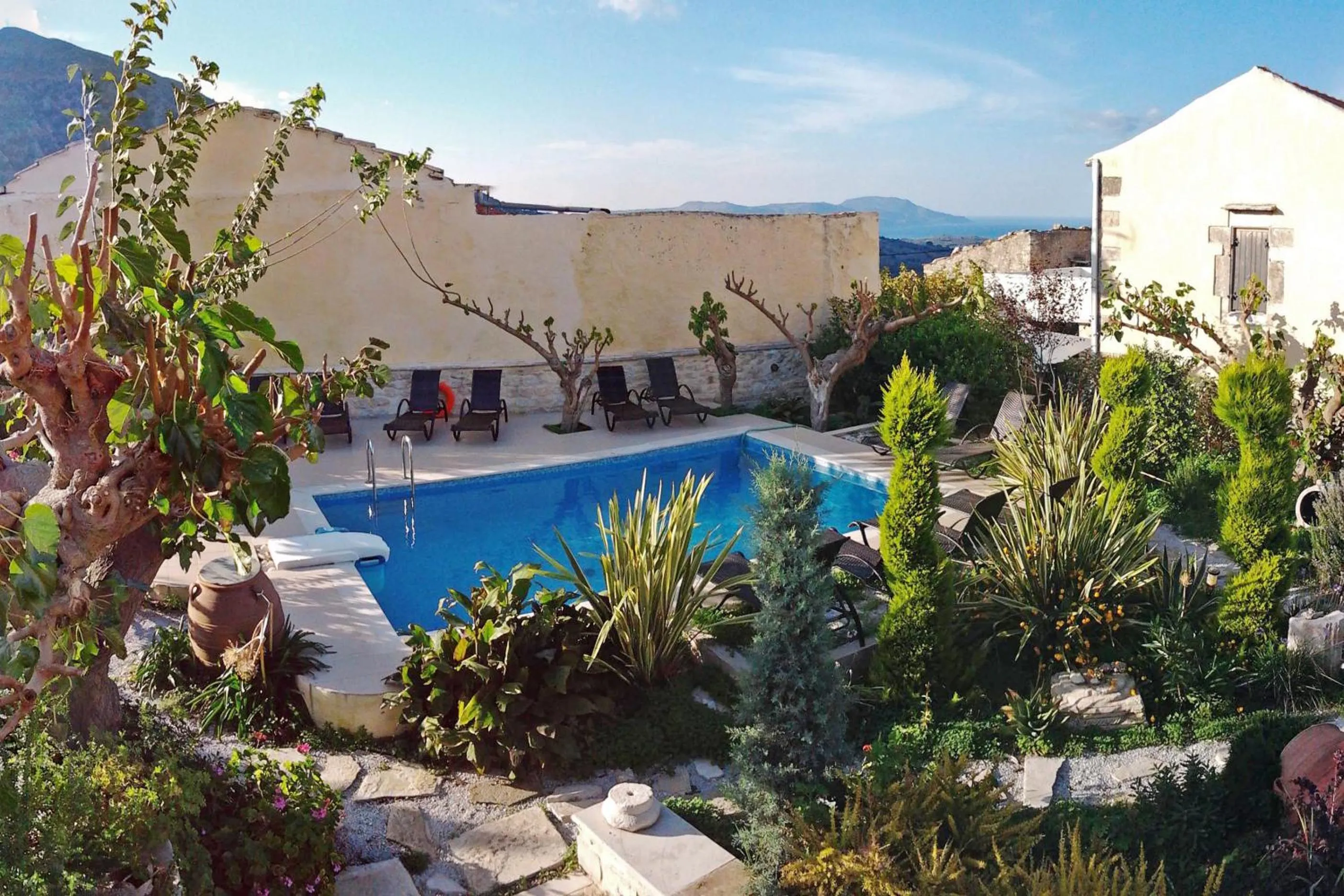 Garden in Arcus Suites