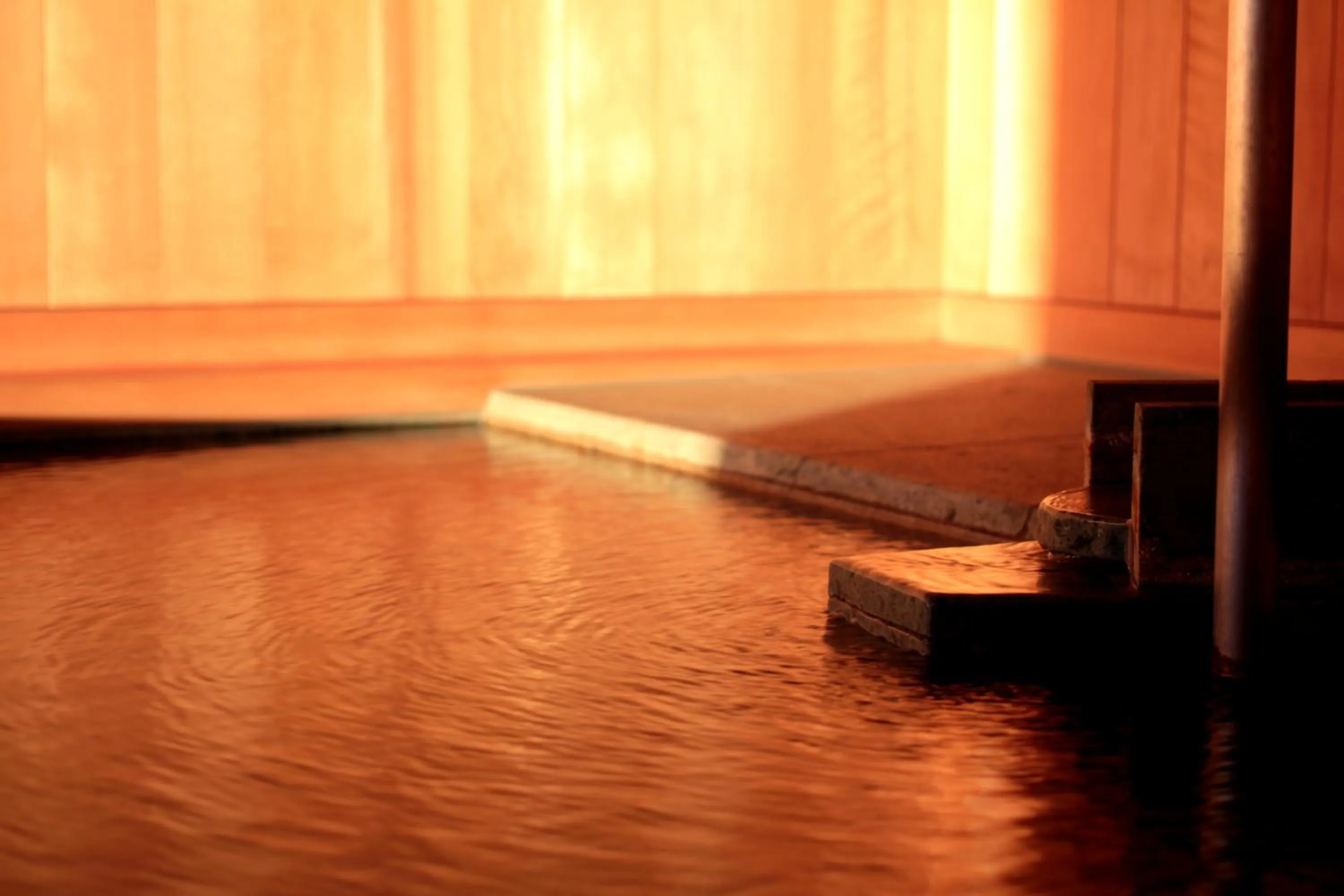 Hot Spring Bath in Bessou Kakei