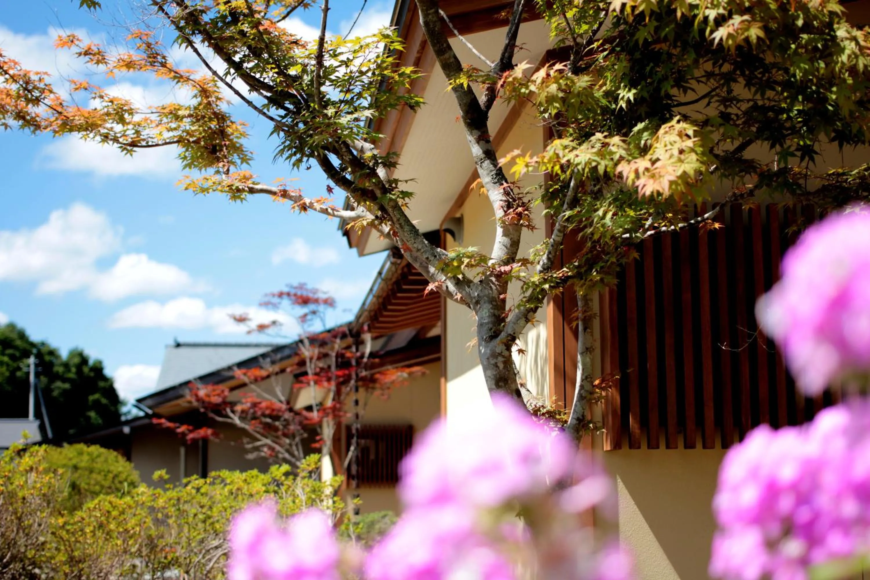 Summer in Bessou Kakei