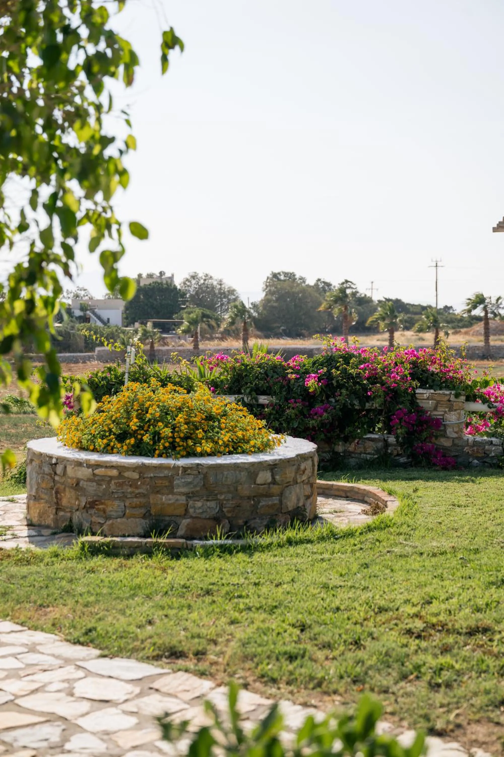 Garden in Scala Apartments