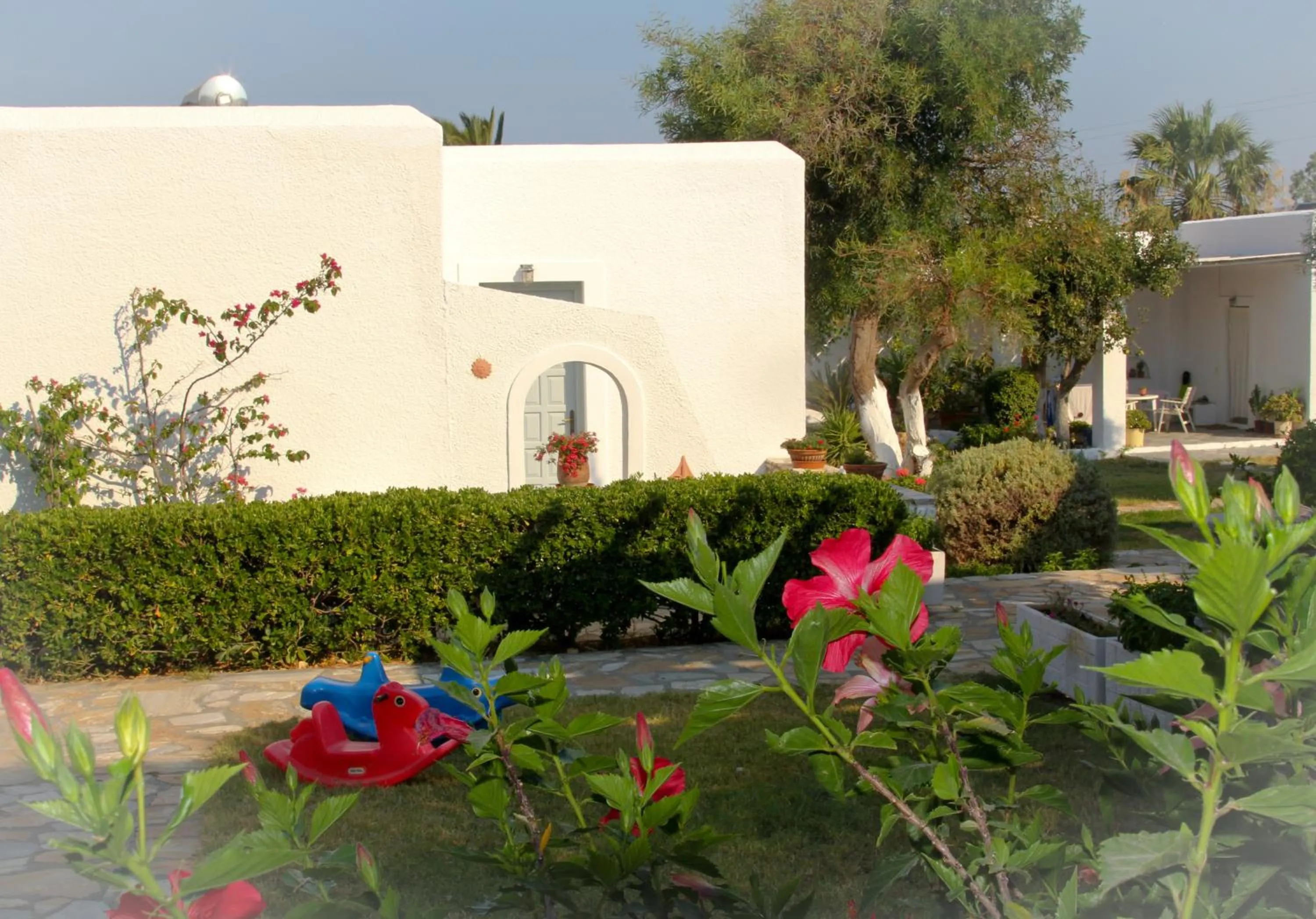 Garden in Scala Apartments