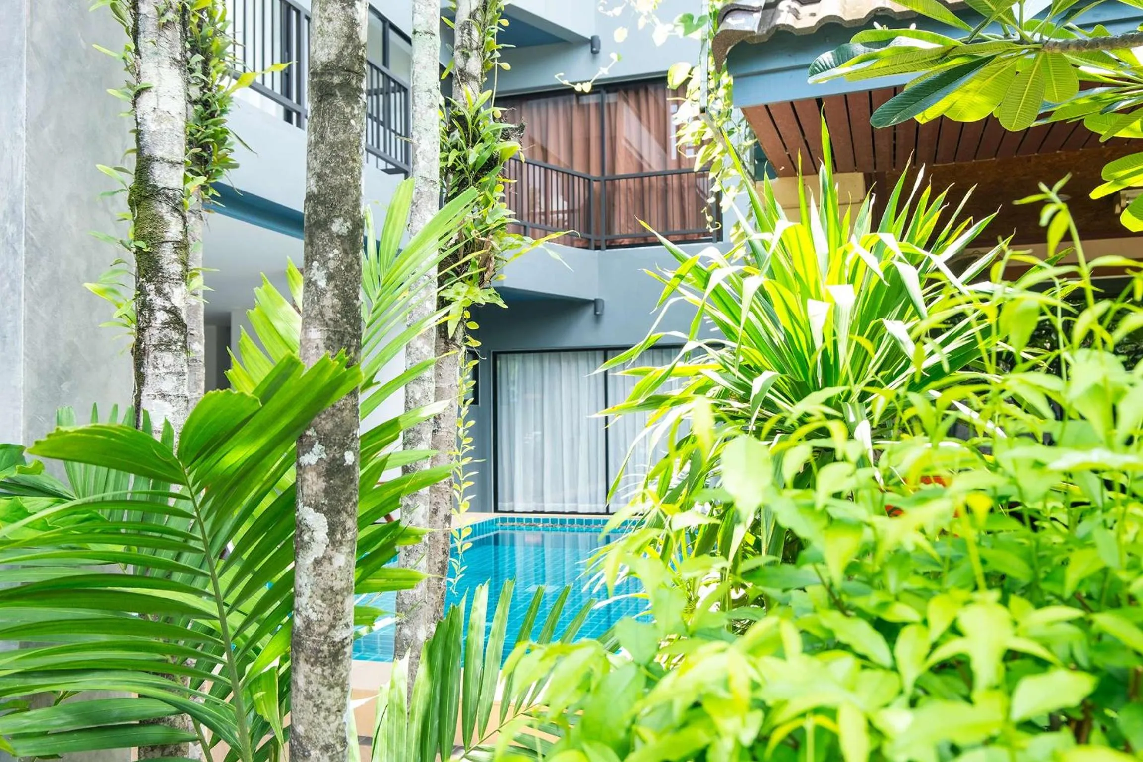 Pool view in The Umbrella House