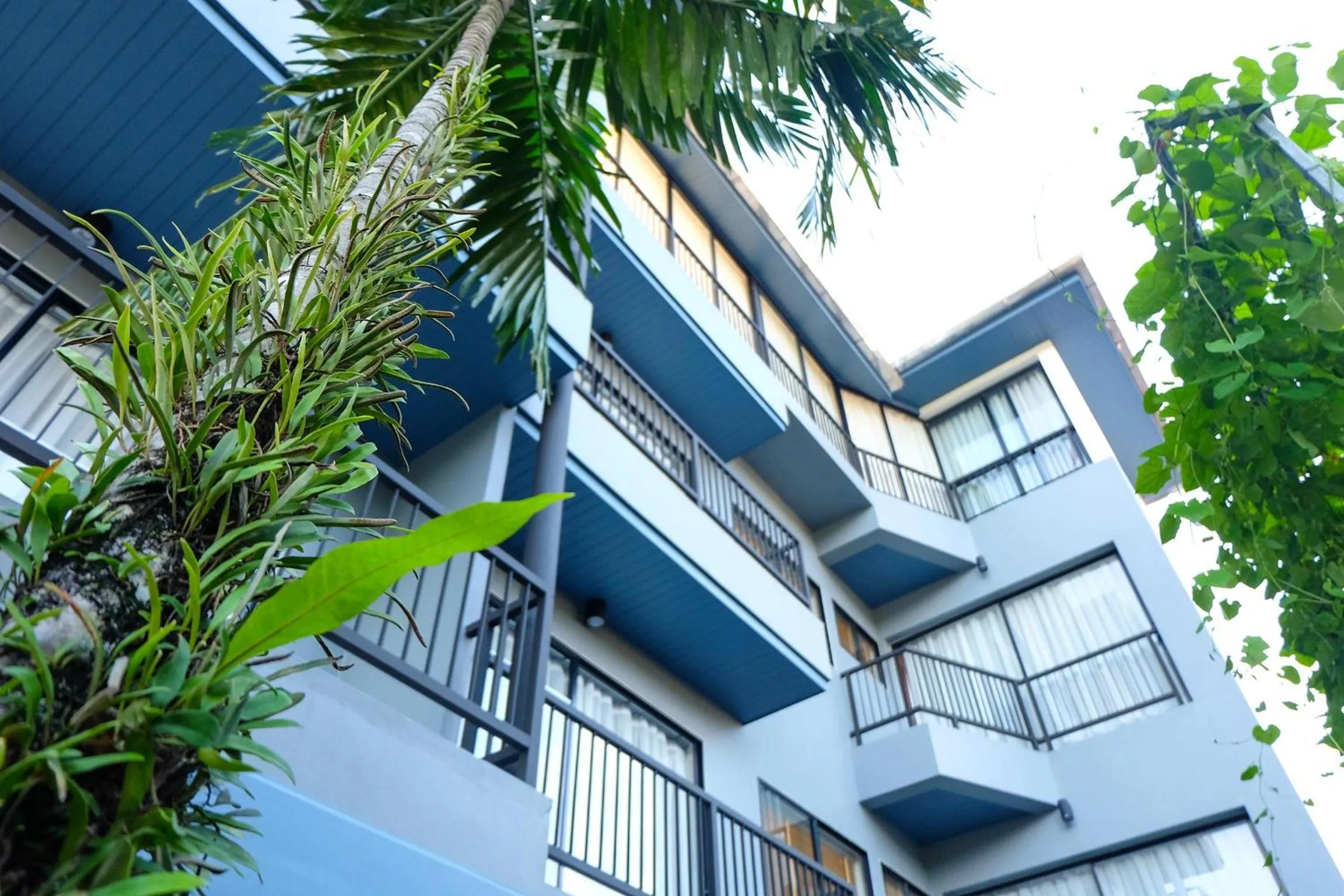 Facade/entrance in The Umbrella House
