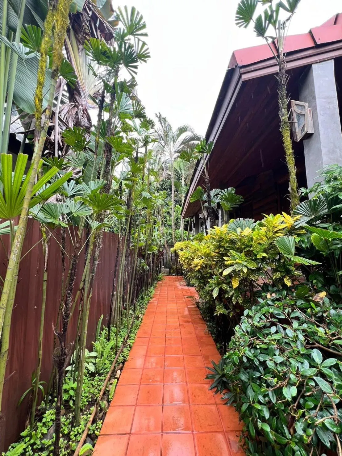 Garden in Yotaka@Pai